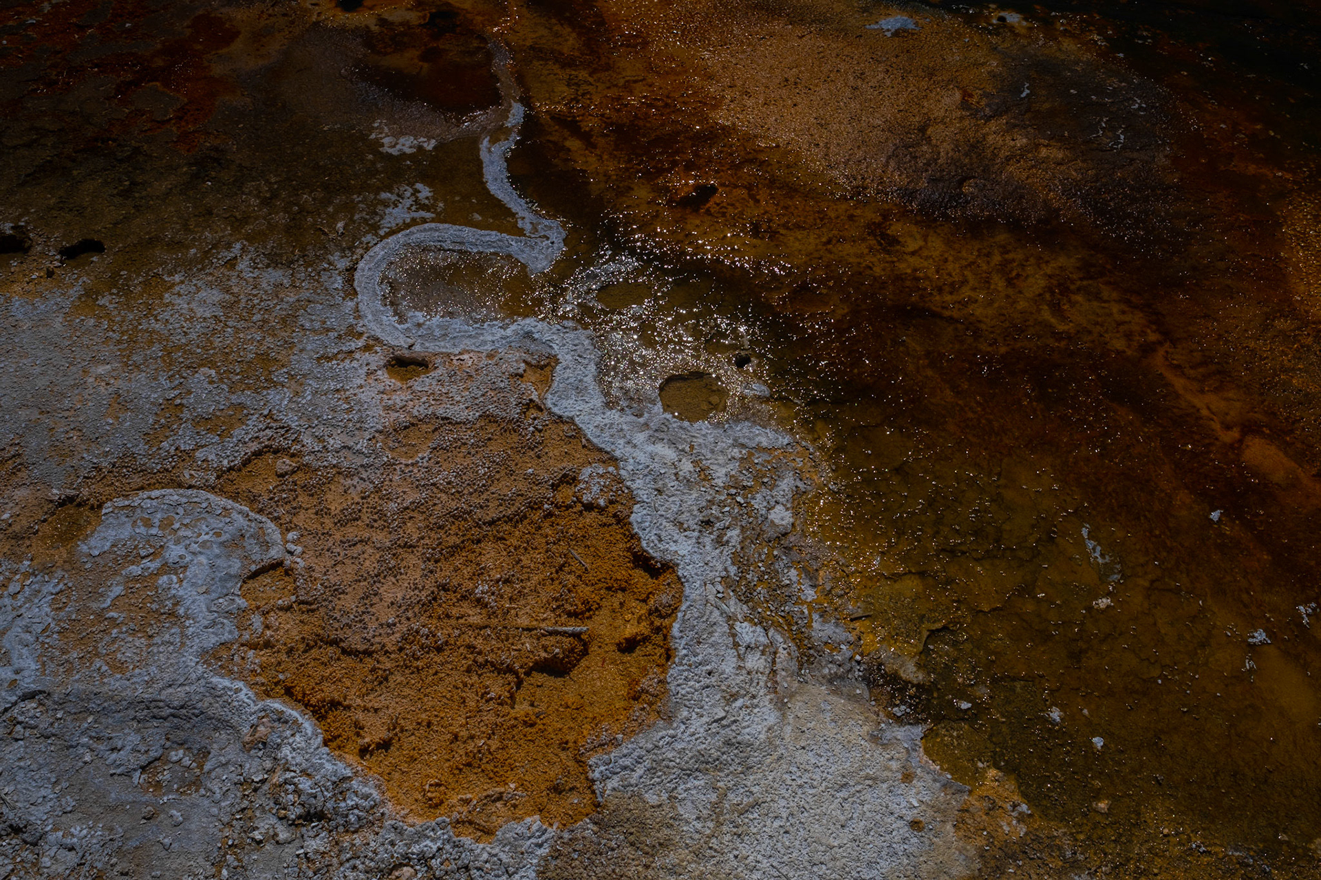 Yellowstone