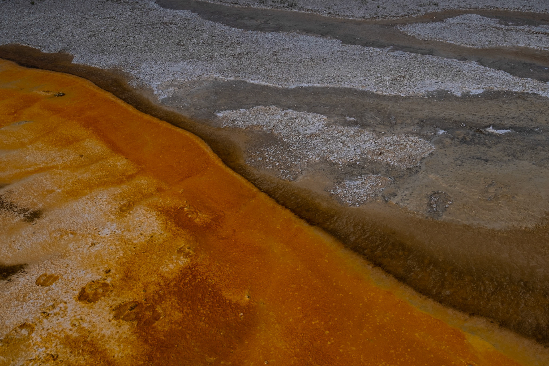 Yellowstone
