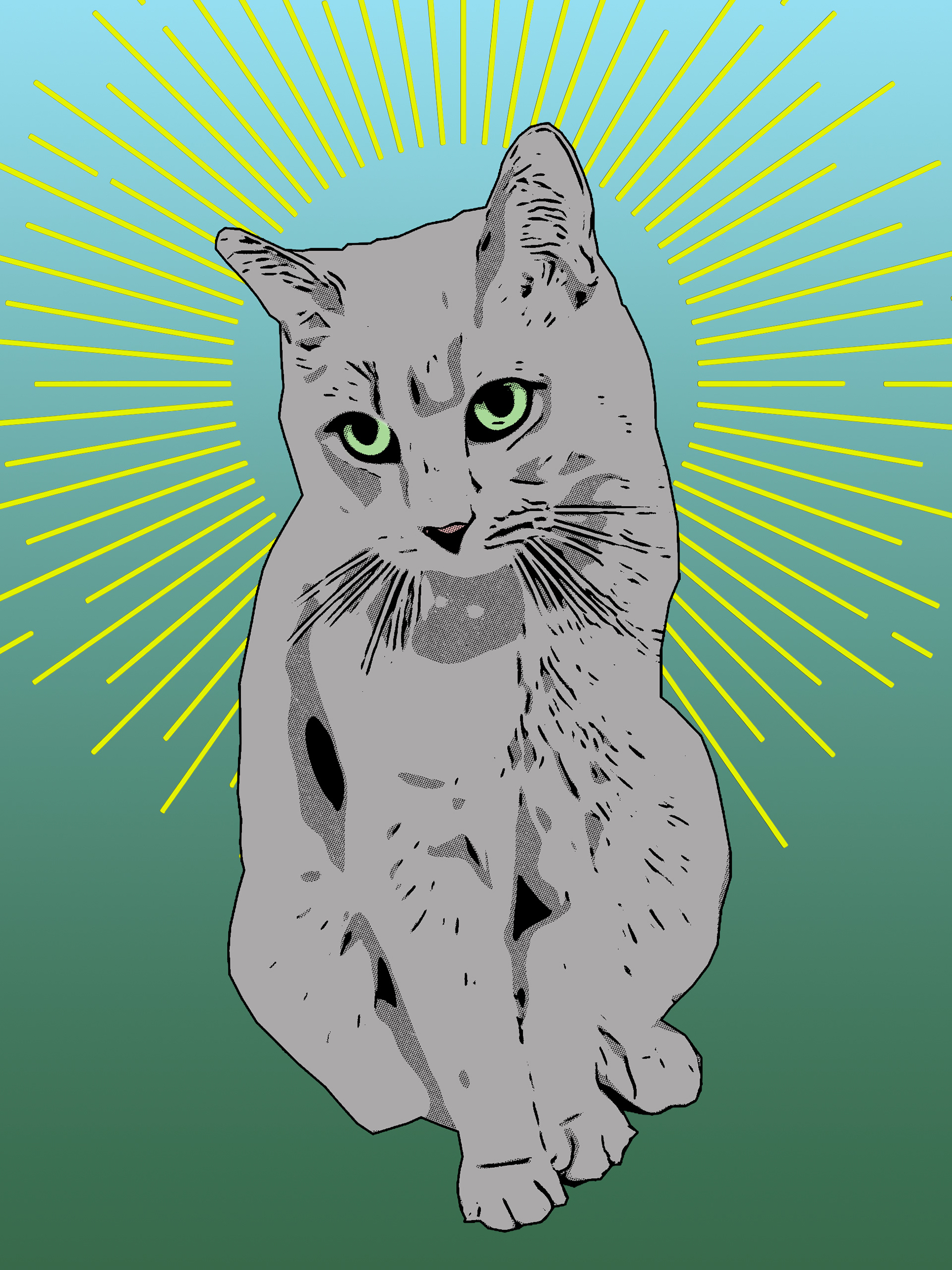 Saint Gracie, Adobe Photoshop