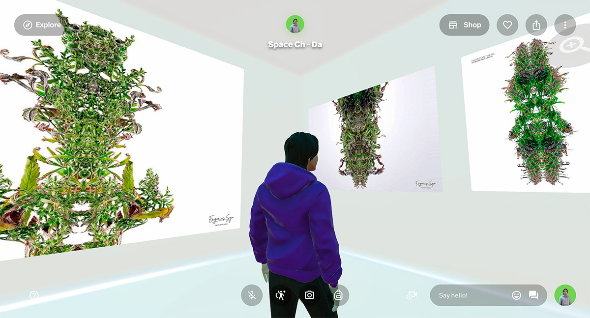 Augmented catalog of ISEA 2023 in Metaverse, exhibition hall "Photosynthesis Symbiosis" by Evgenius Syn