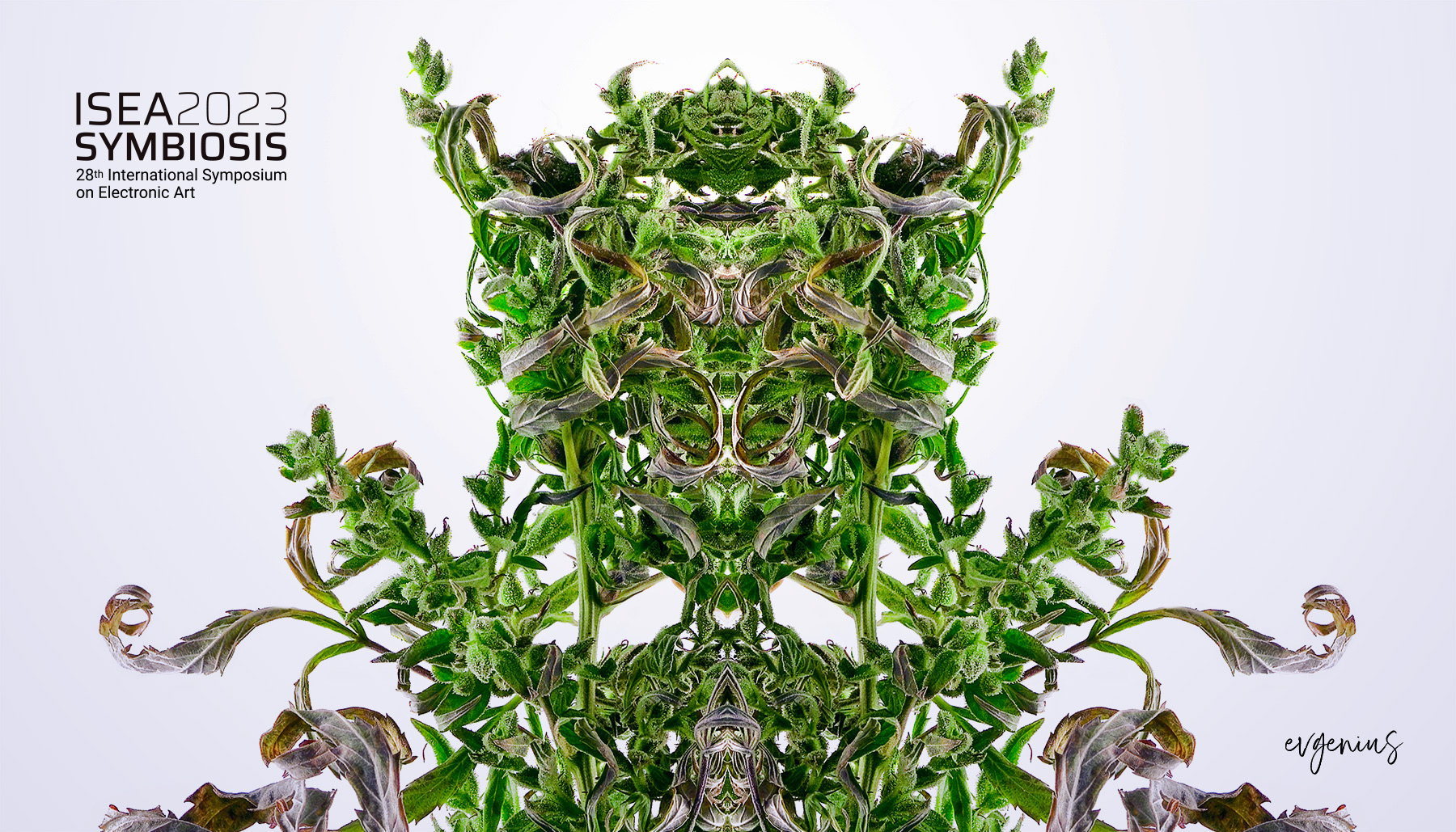 Photosynthesis Symbiosis by Evgenius Syn