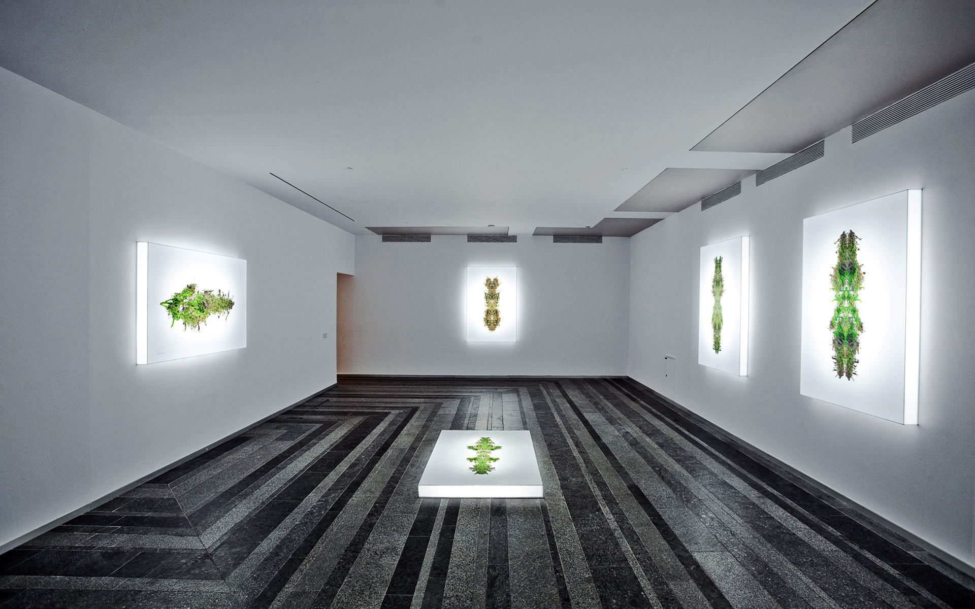 Photosynthesis Symbiosis by Evgenius Syn (Exposition)