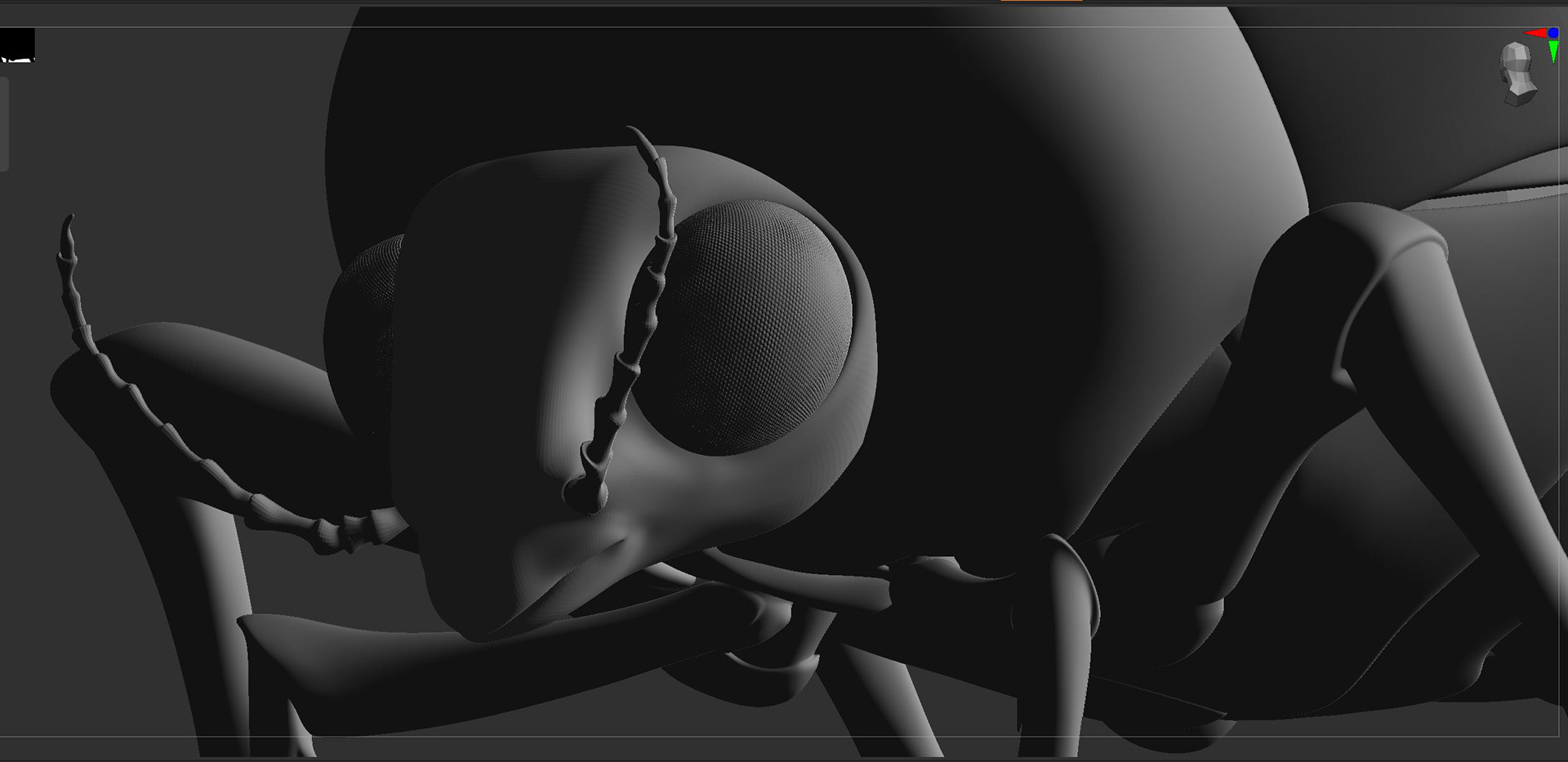 Eye detail added in Z Brush