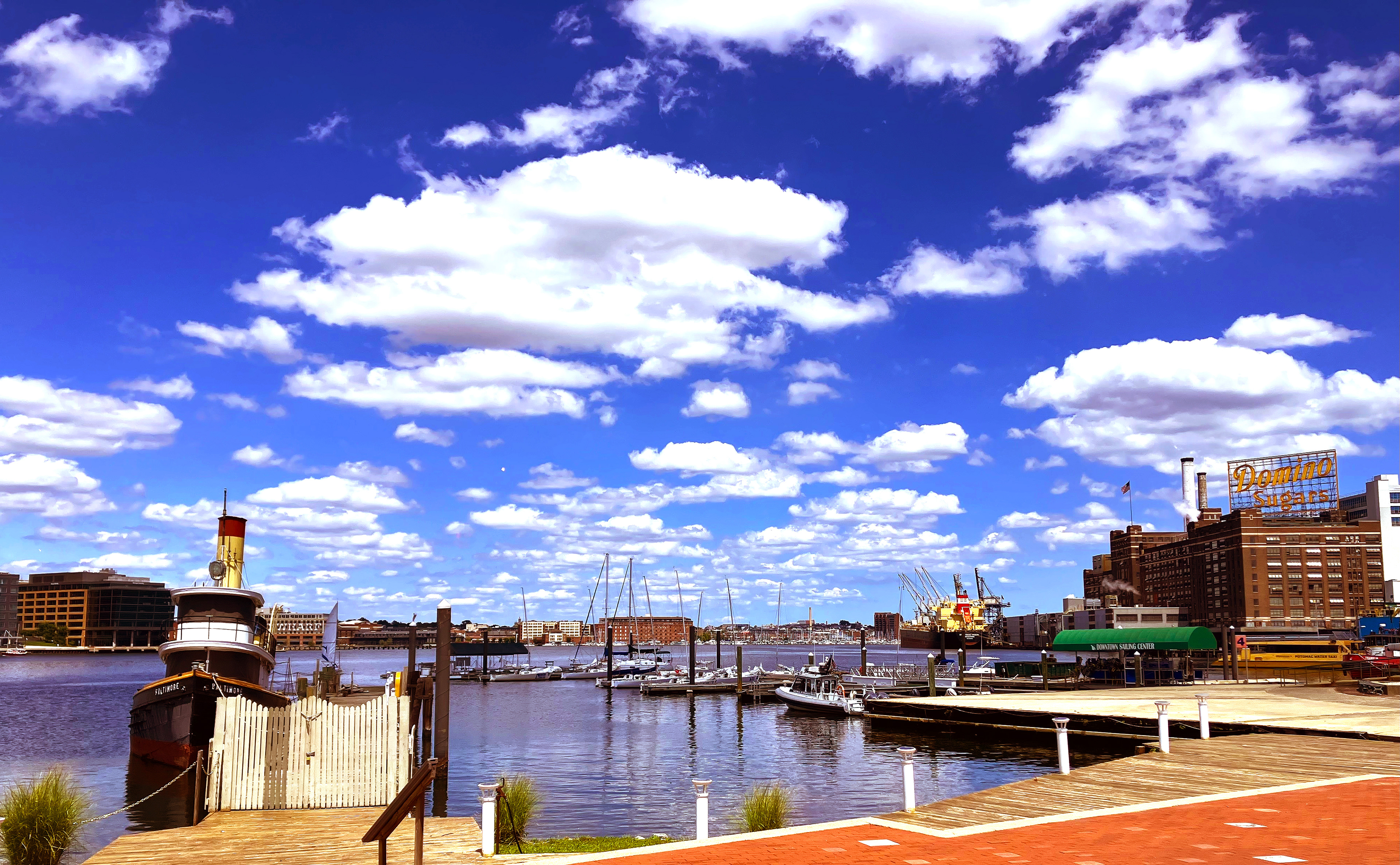 Photo courtesy of Donna Balancia, content curator.