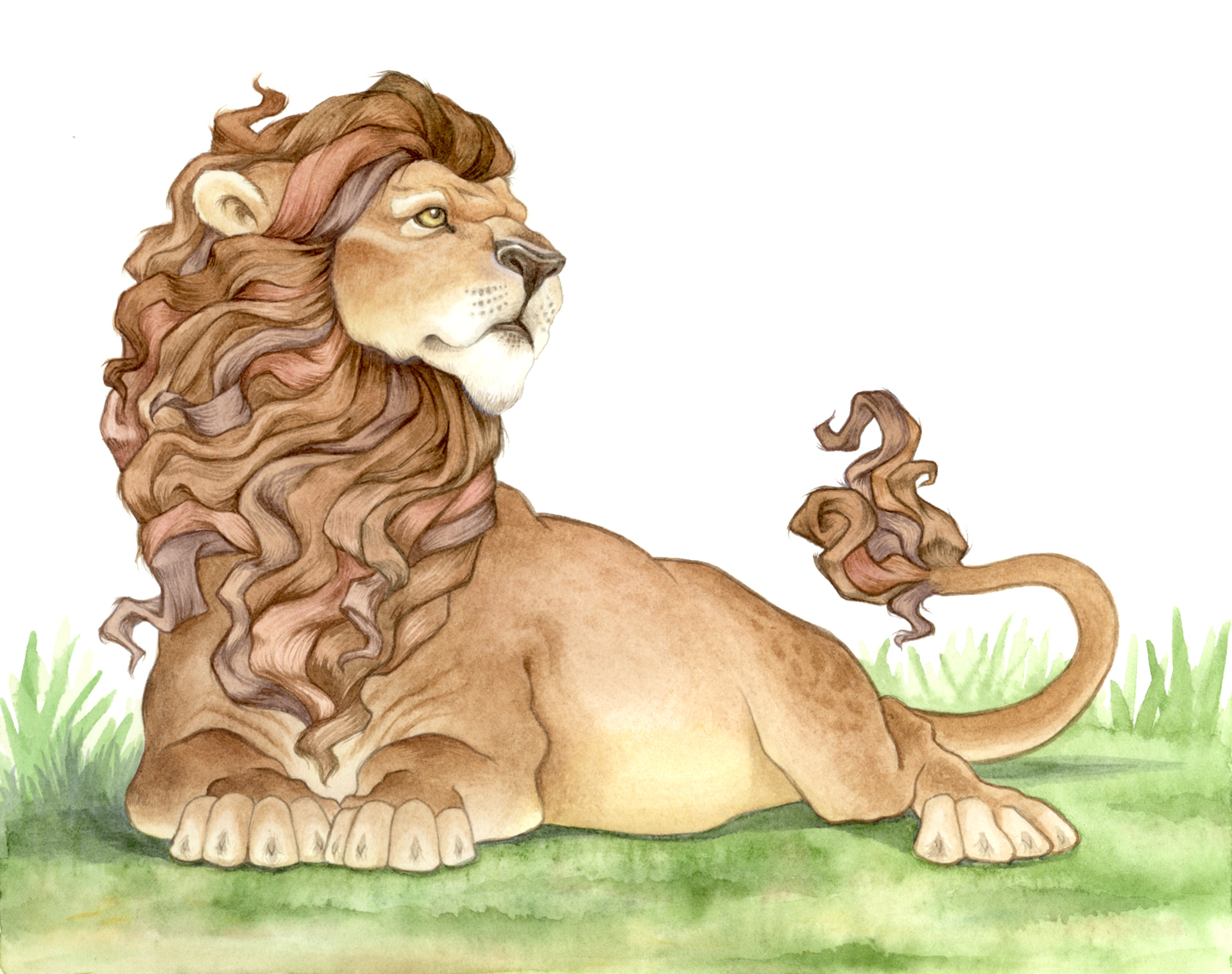 "Leo" from "Star Pictures" Client: Waterford Institute