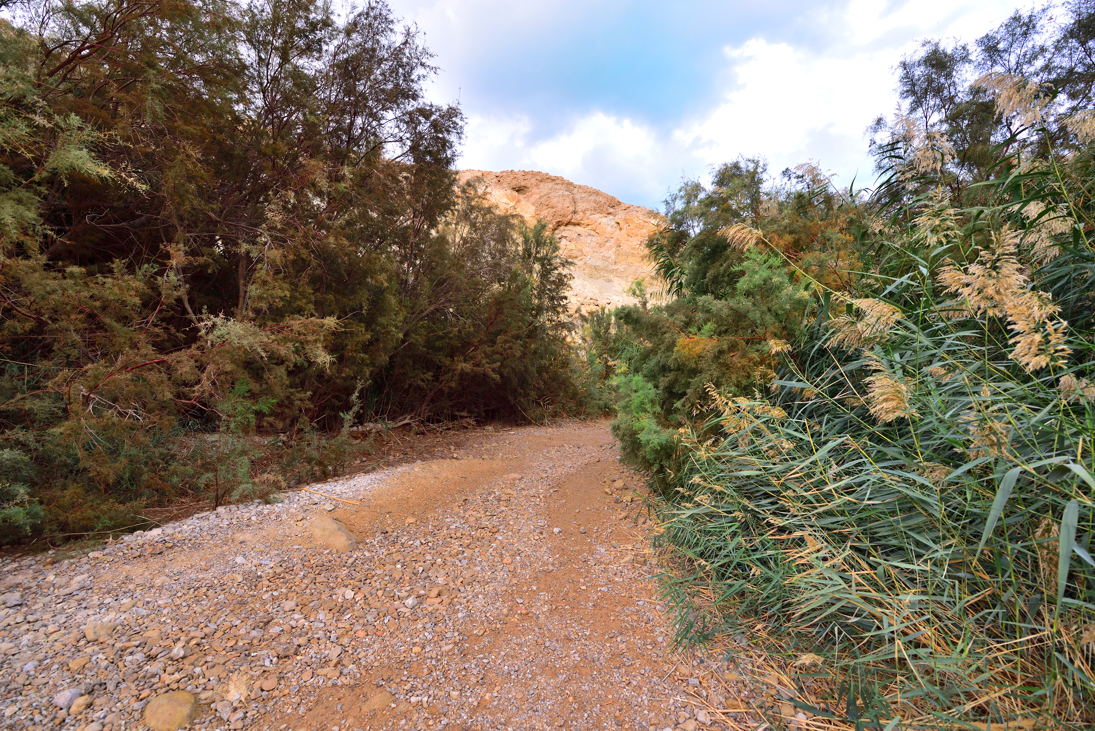 Bokek Spring, 12/2017