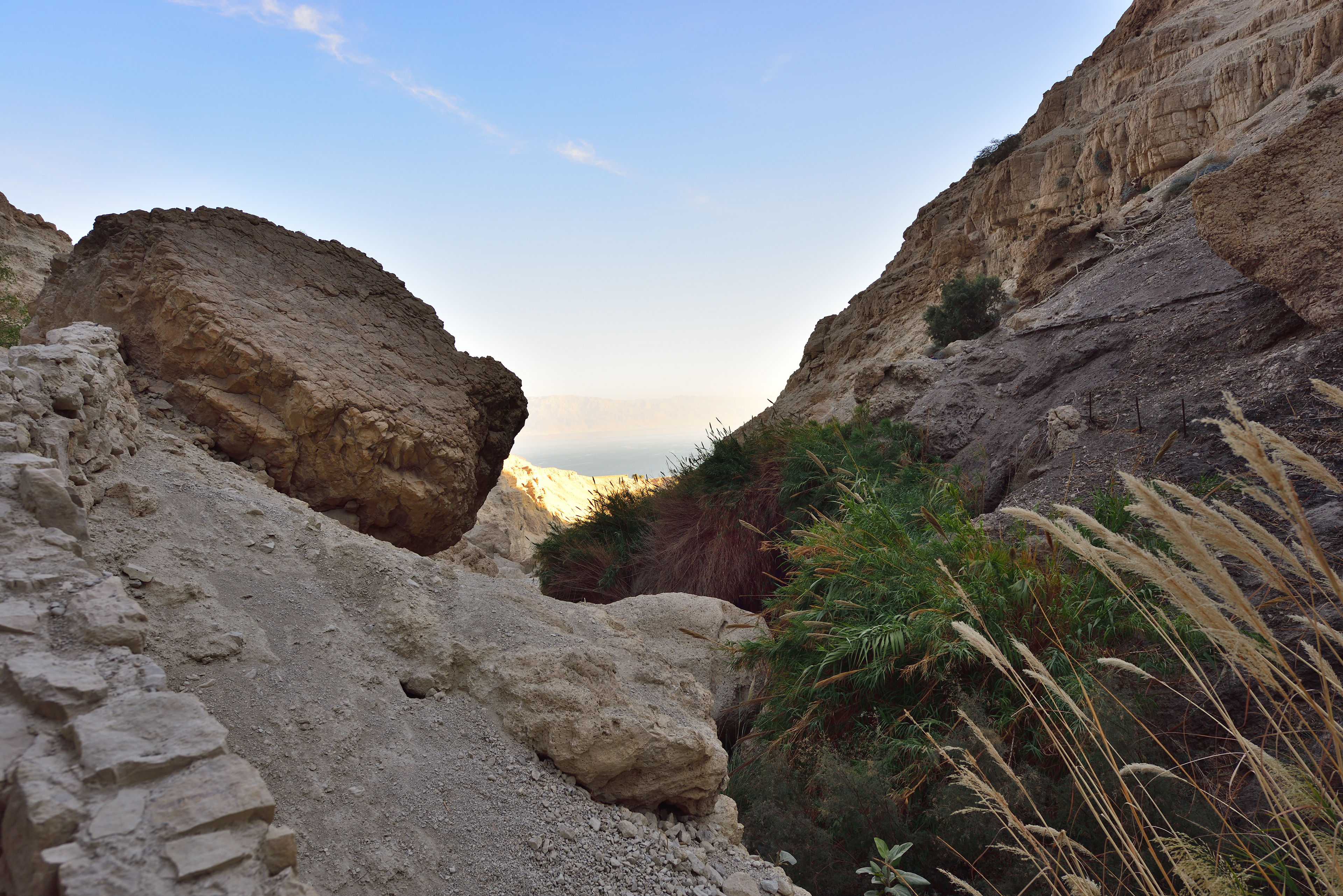 Ein Gedi Reserve, 12/2017