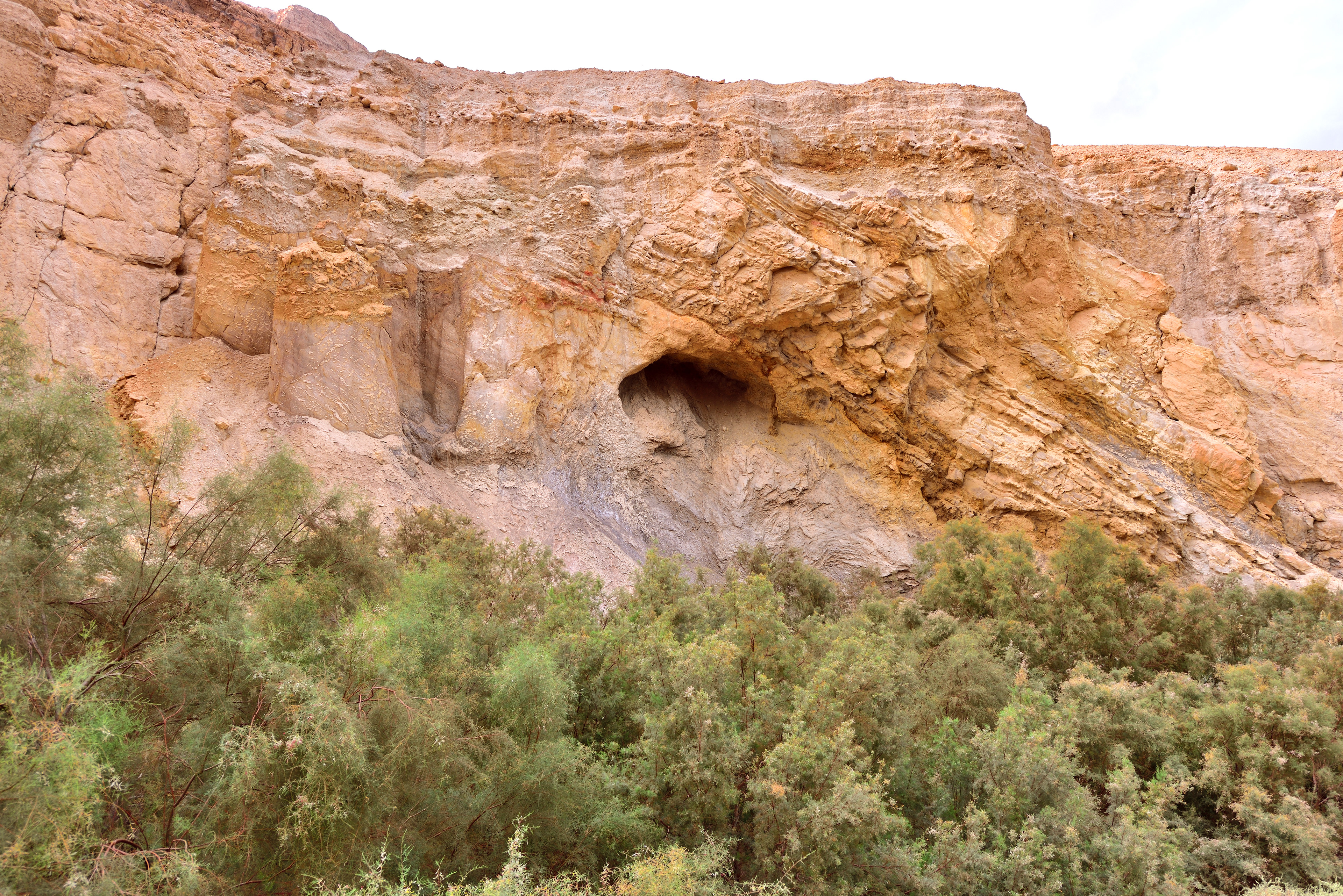 Bokek Spring, 12/2017