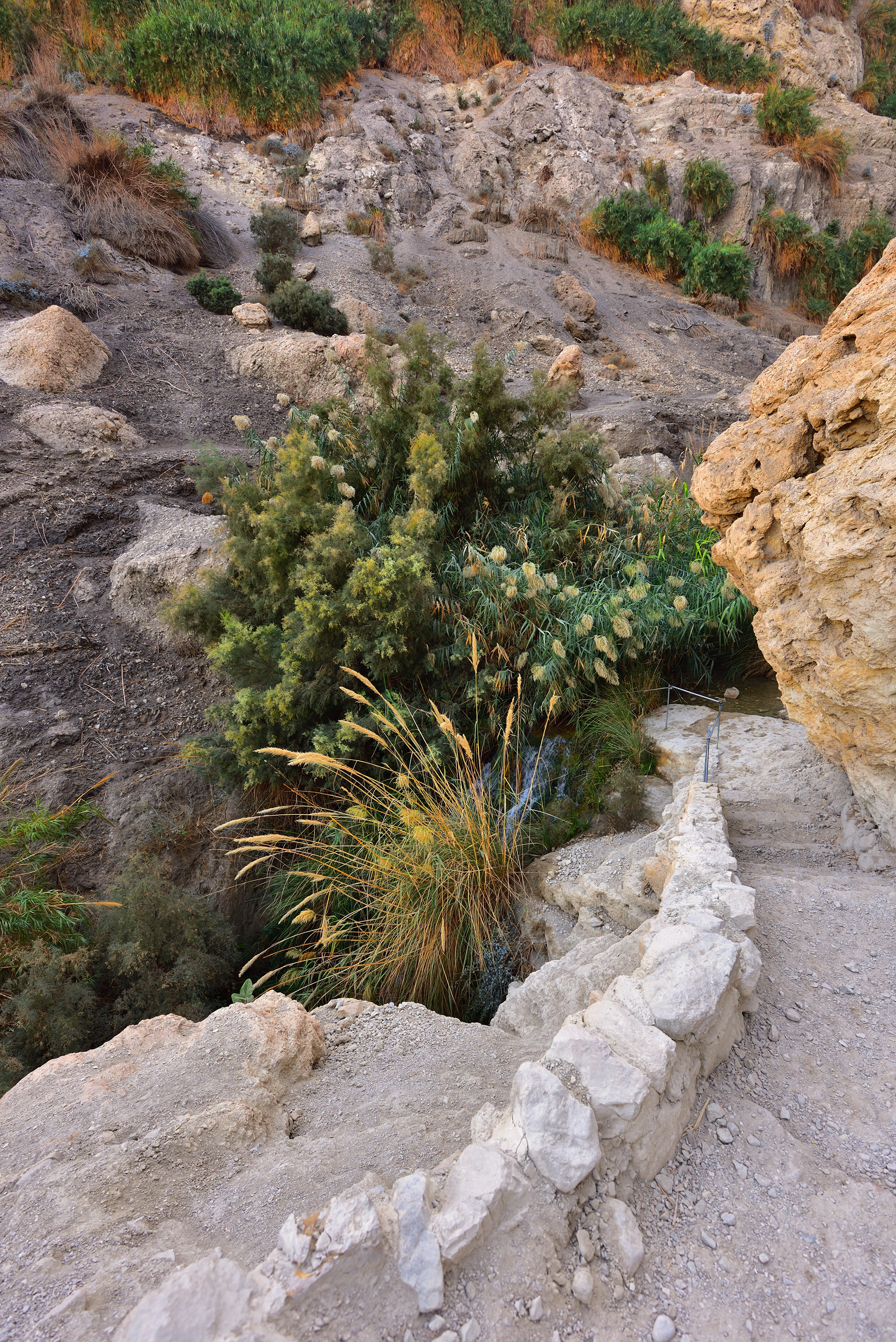 Ein Gedi Reserve, 12/2017
