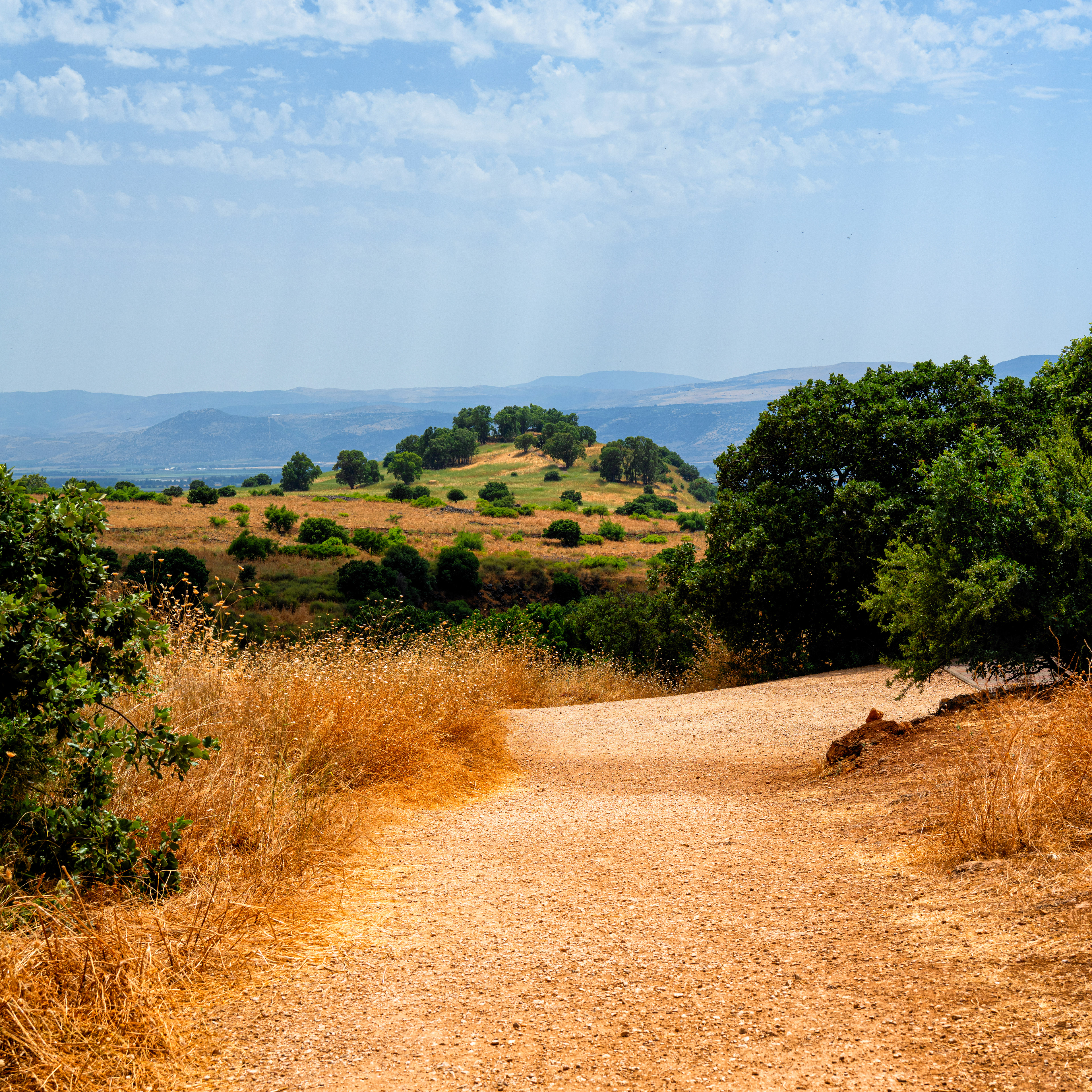 Golanské výšiny, 06/2019