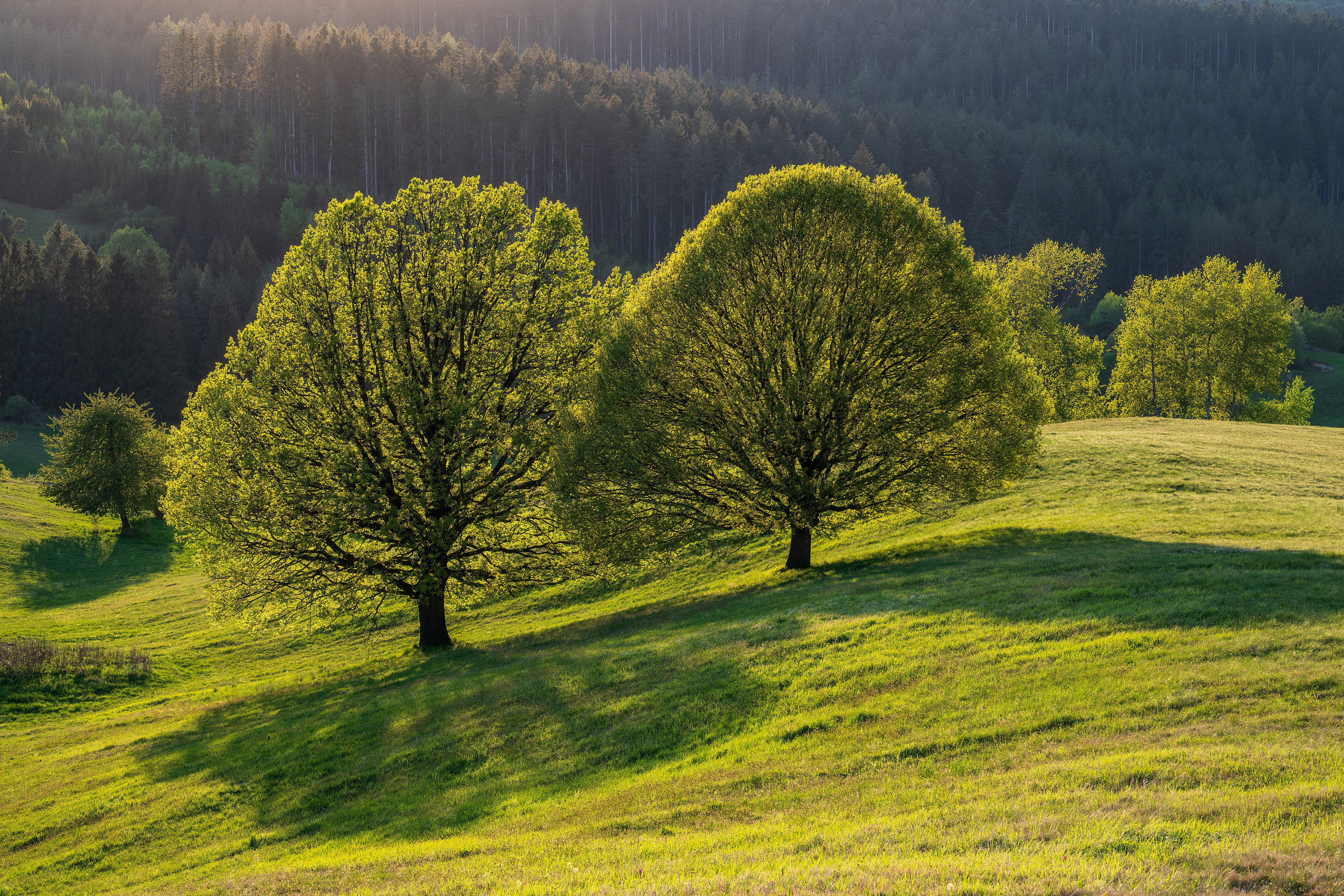 Západ slunce, Povrazník, 05/2025