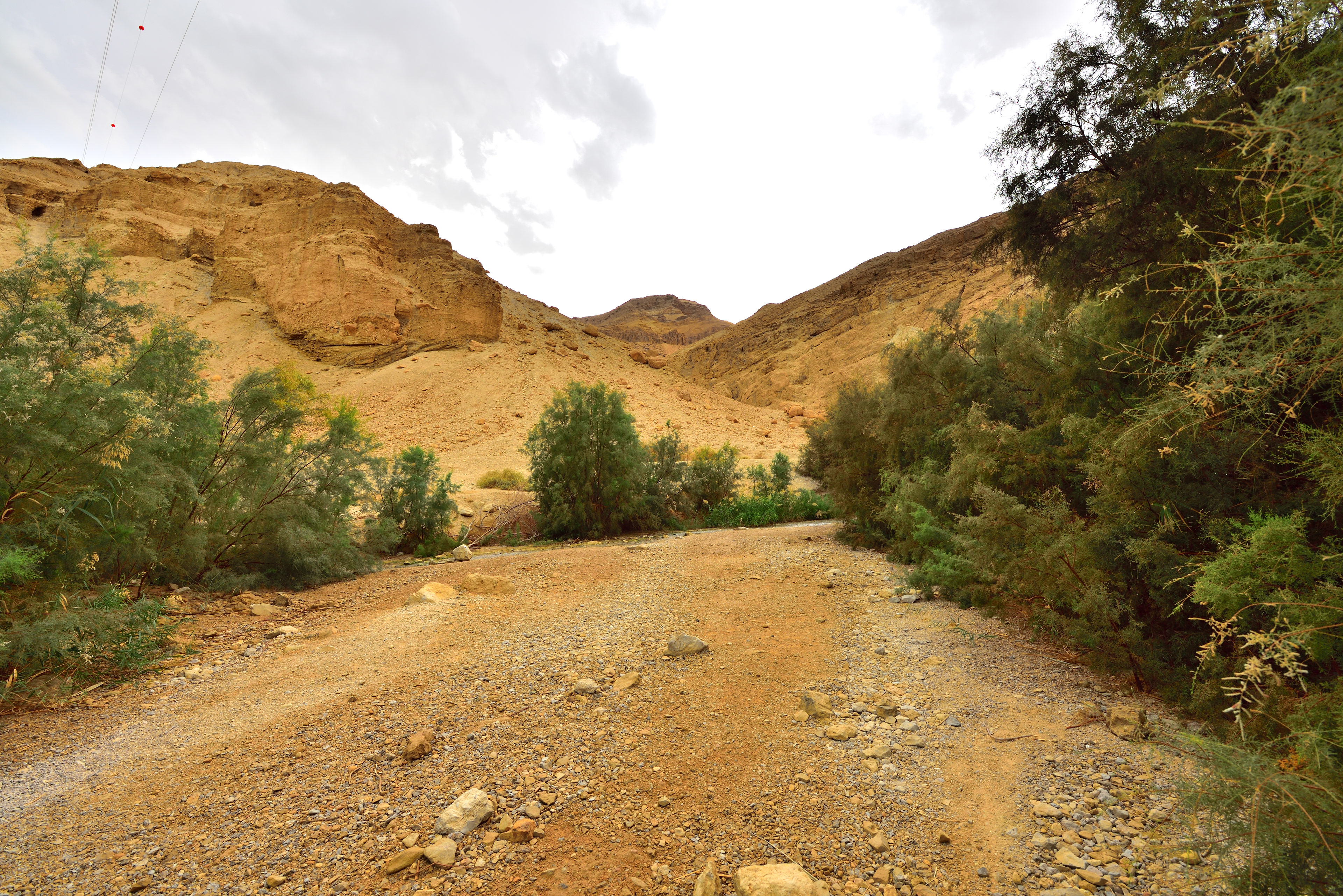 Bokek Spring, 12/2017