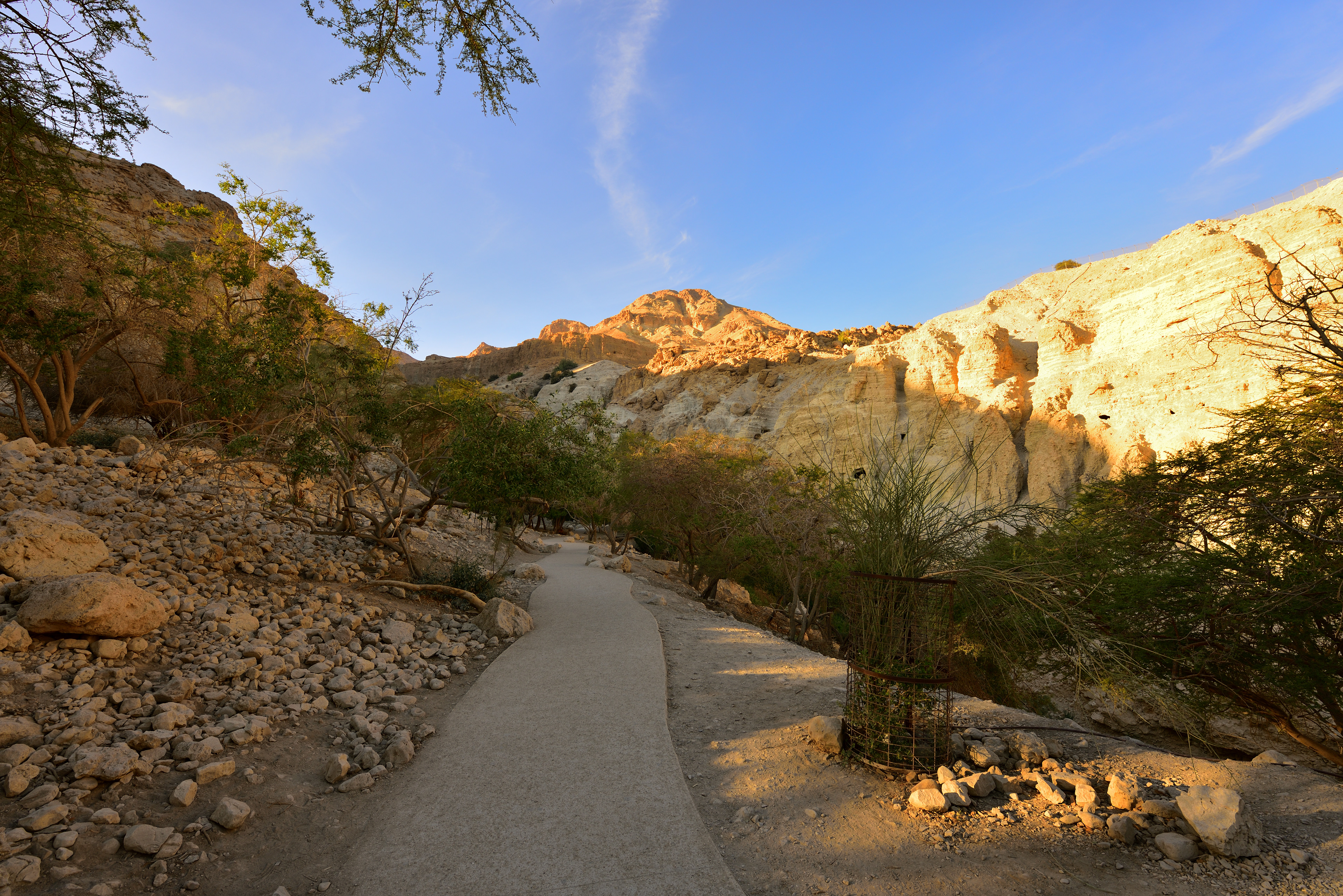 Ein Gedi Reserve, 12/2017