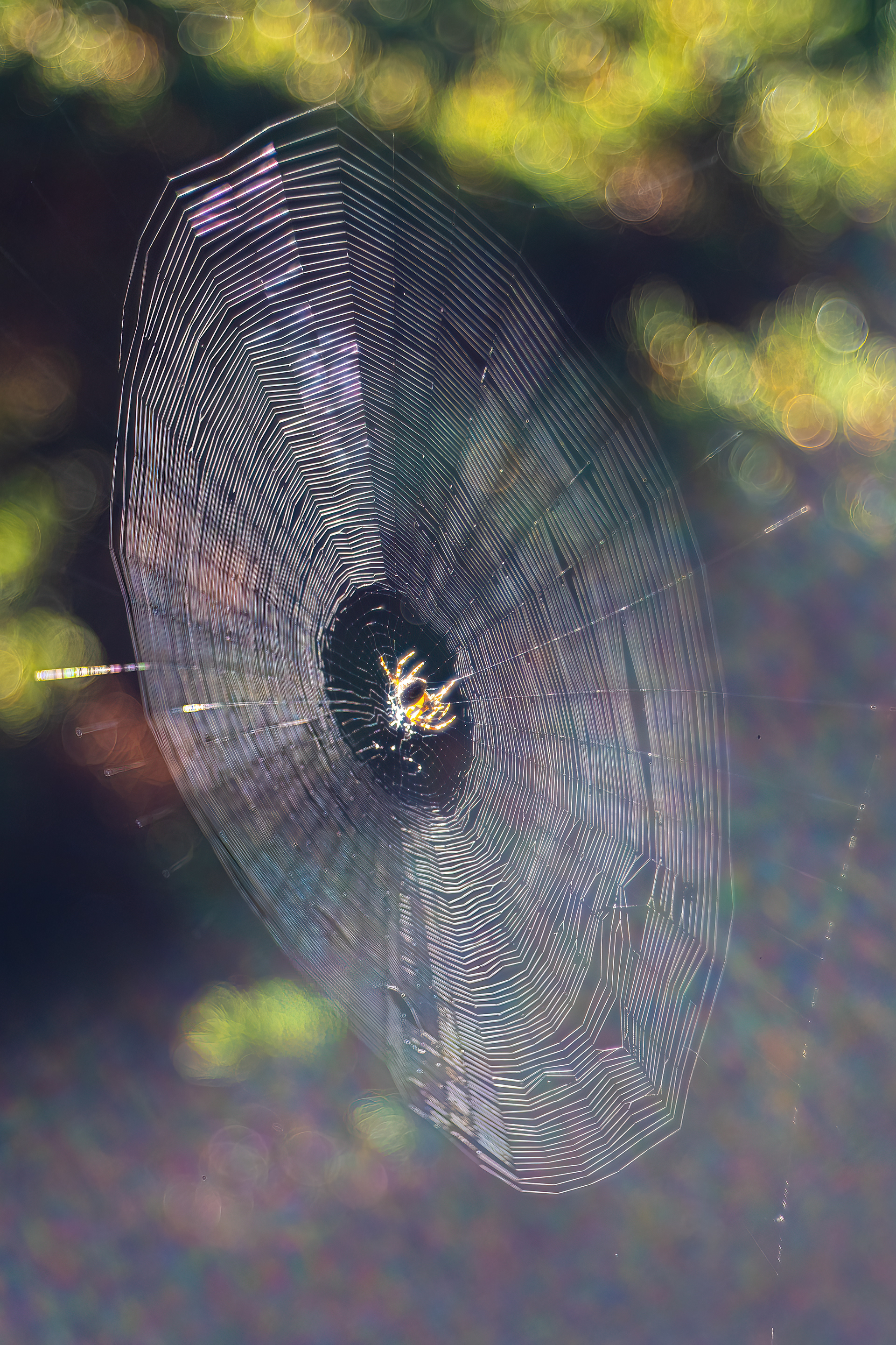 Na čekané, Pyšely, 08/2024