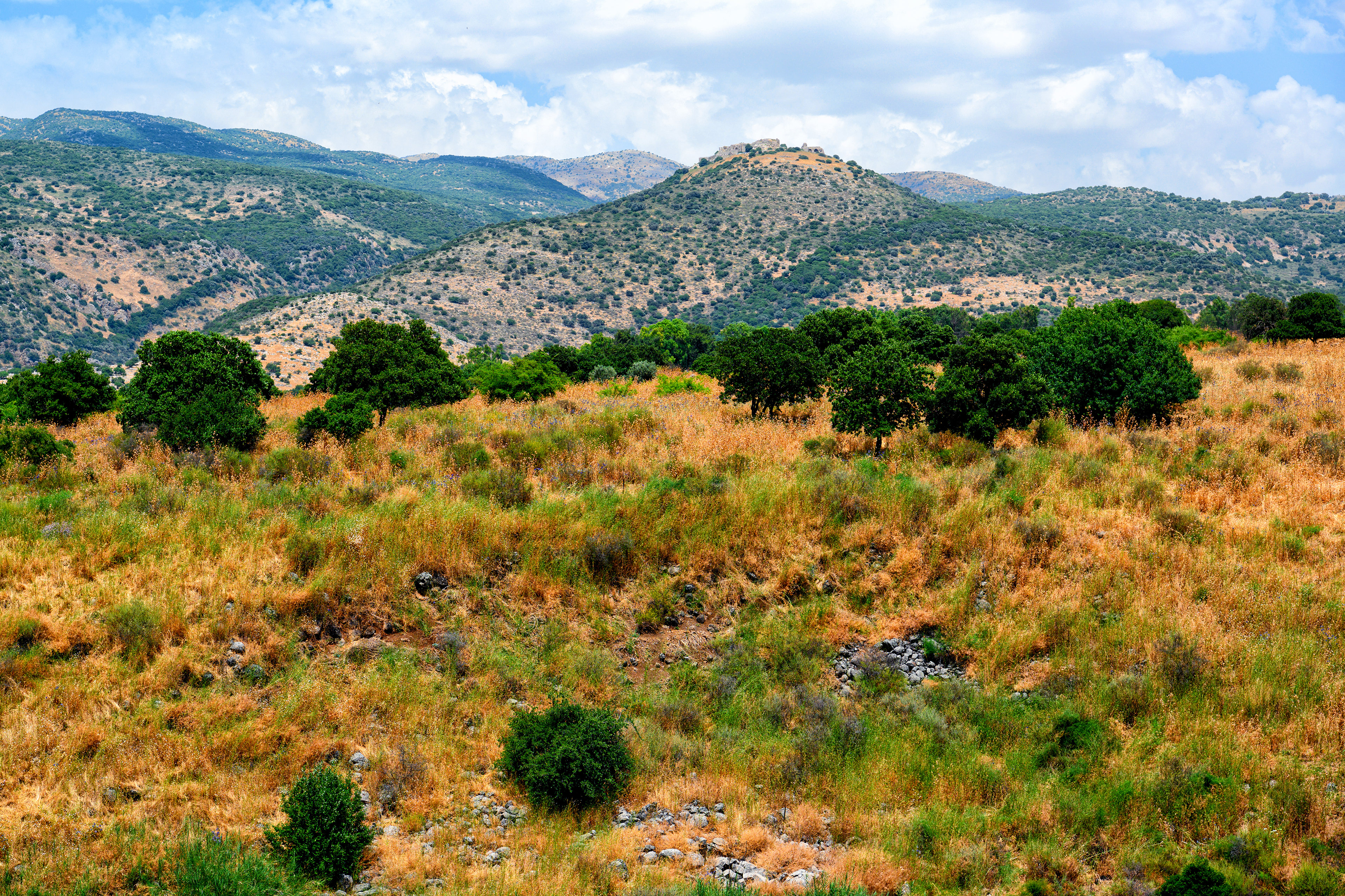 Golanské výšiny, 06/2019