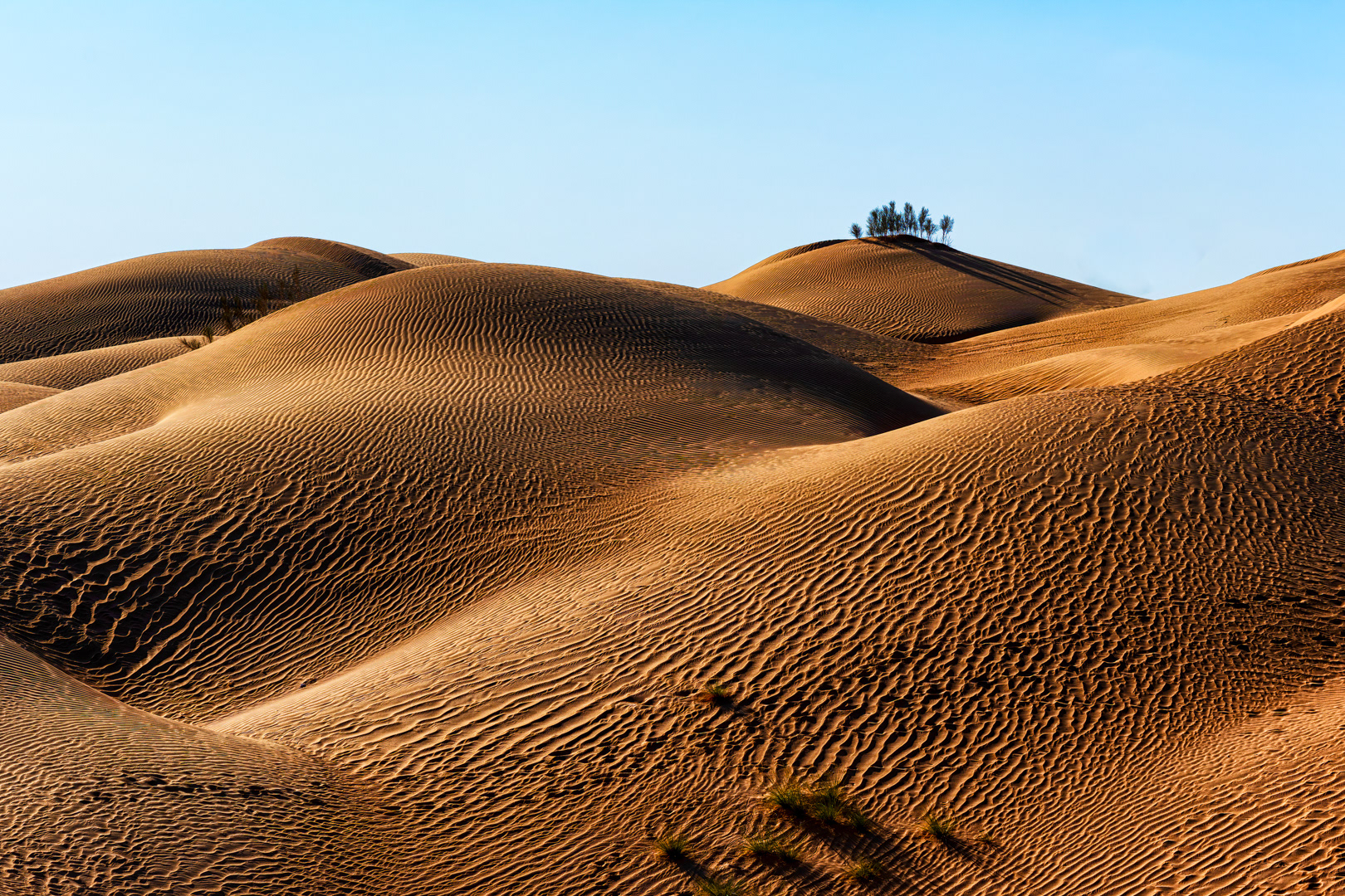 Poušť Rub Al Khali, Omán, 12/2021