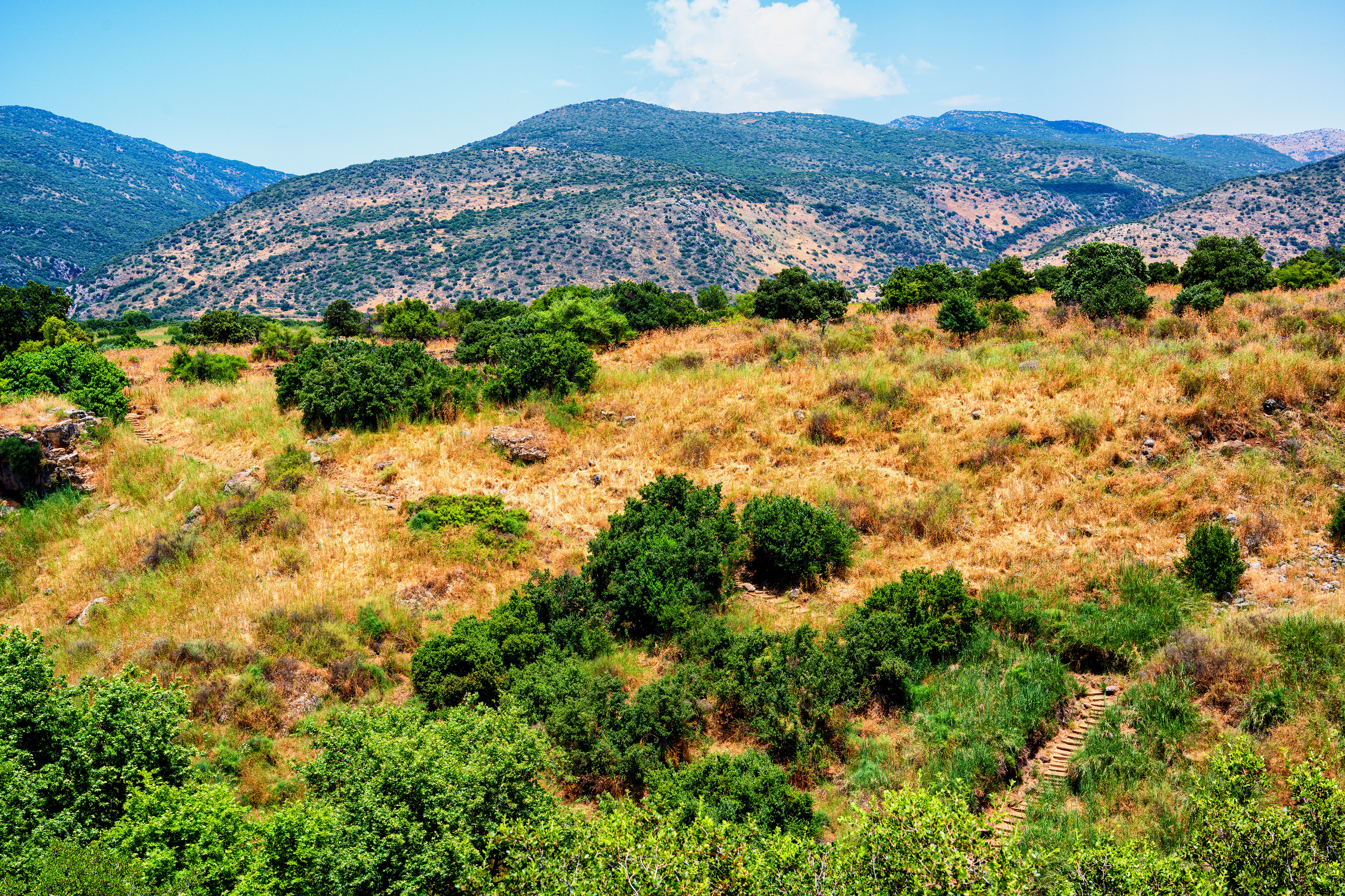 Golanské výšiny, 06/2019