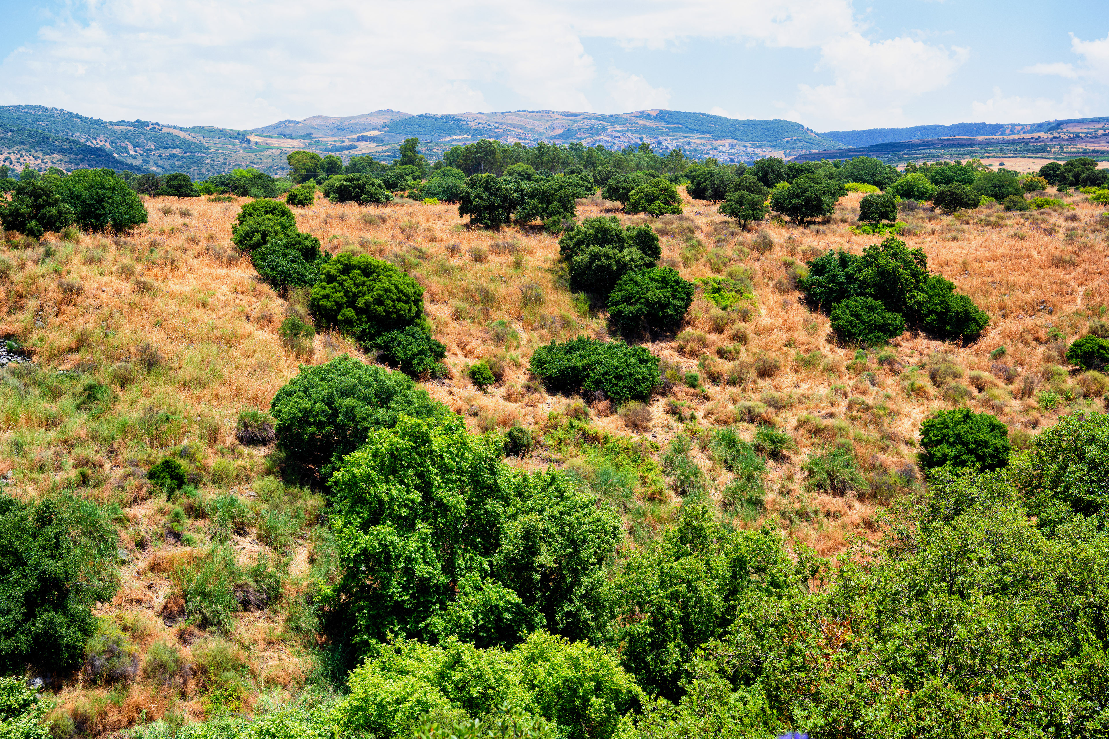 Golanské výšiny, 06/2019
