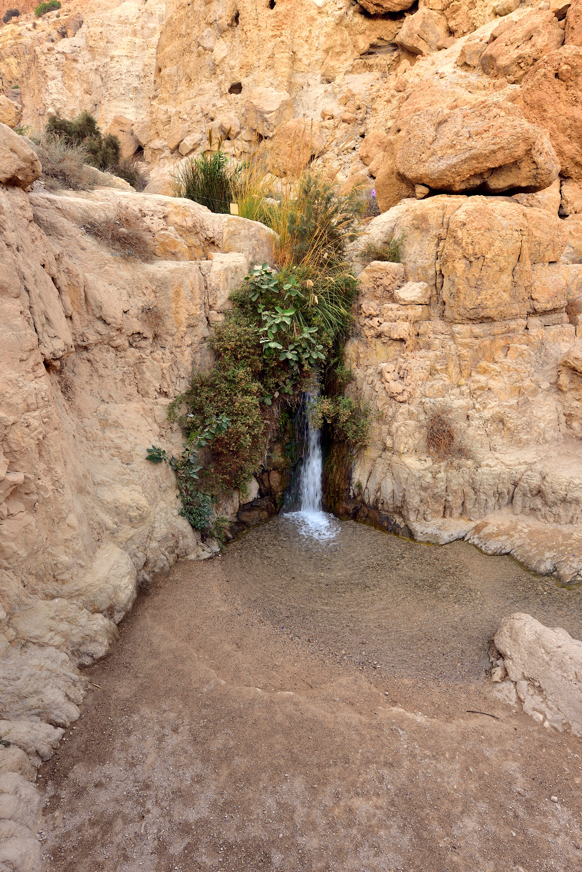 Ein Gedi Reserve, 12/2017
