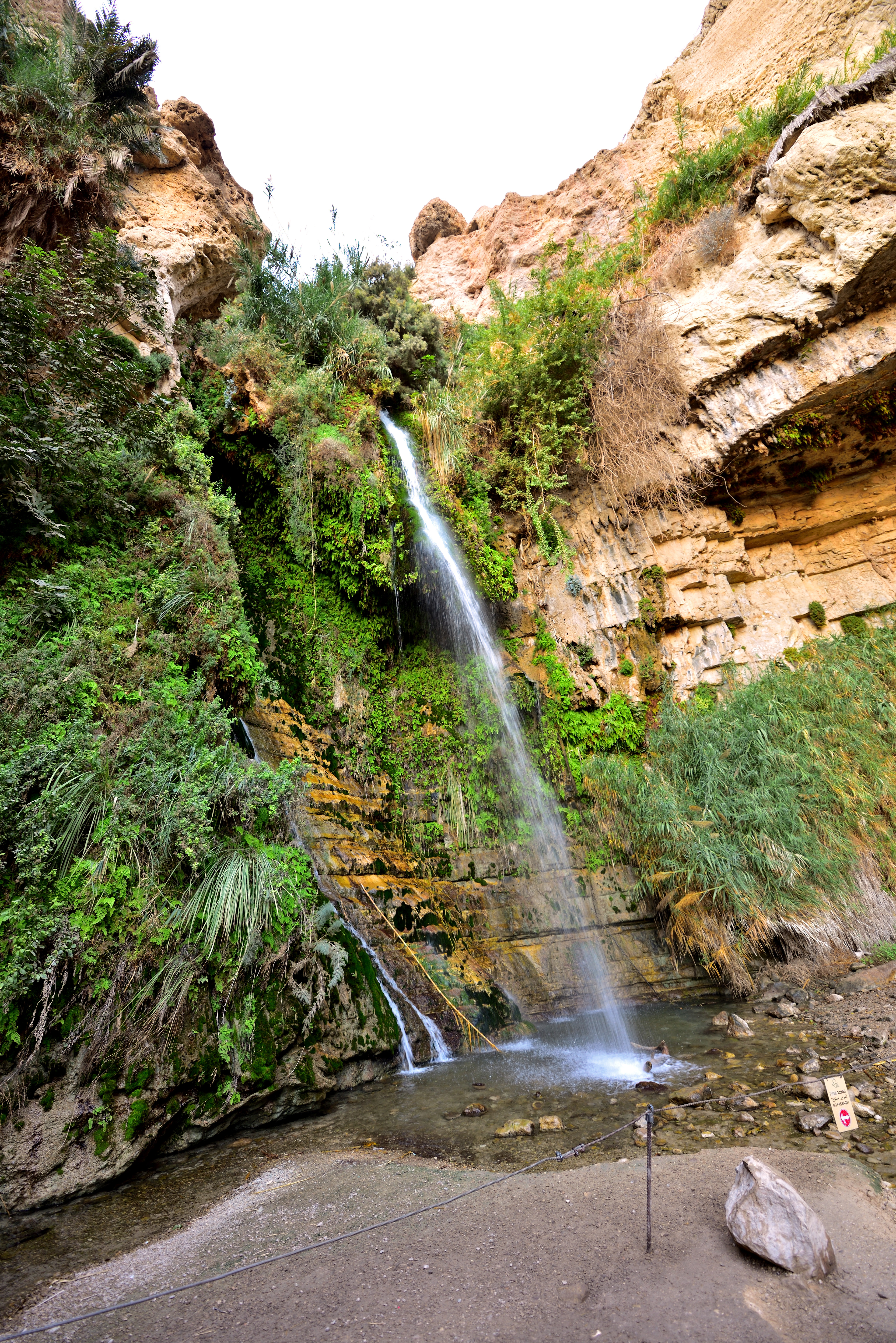 Ein Gedi Reserve, 12/2017