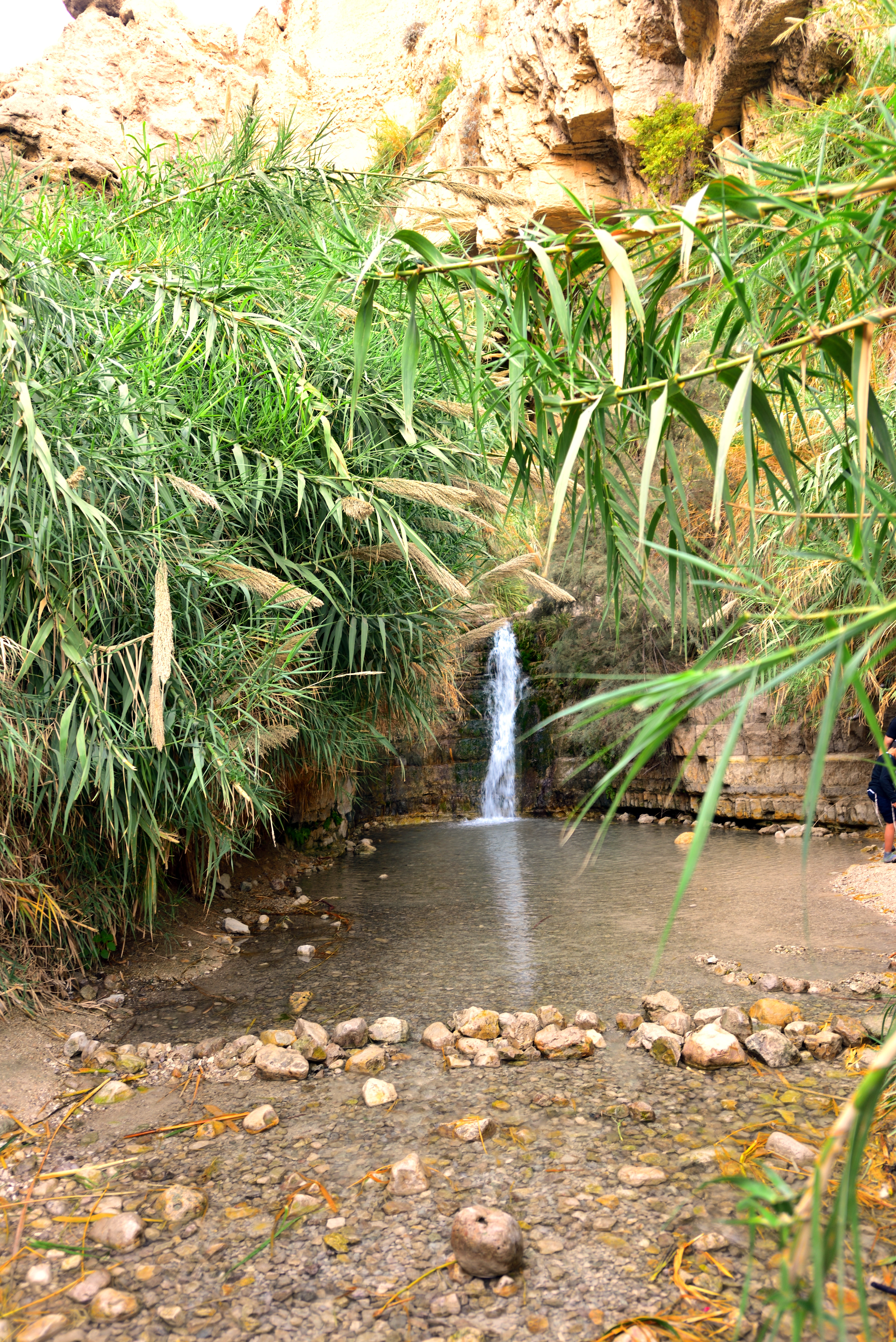 Ein Gedi Reserve, 12/2017
