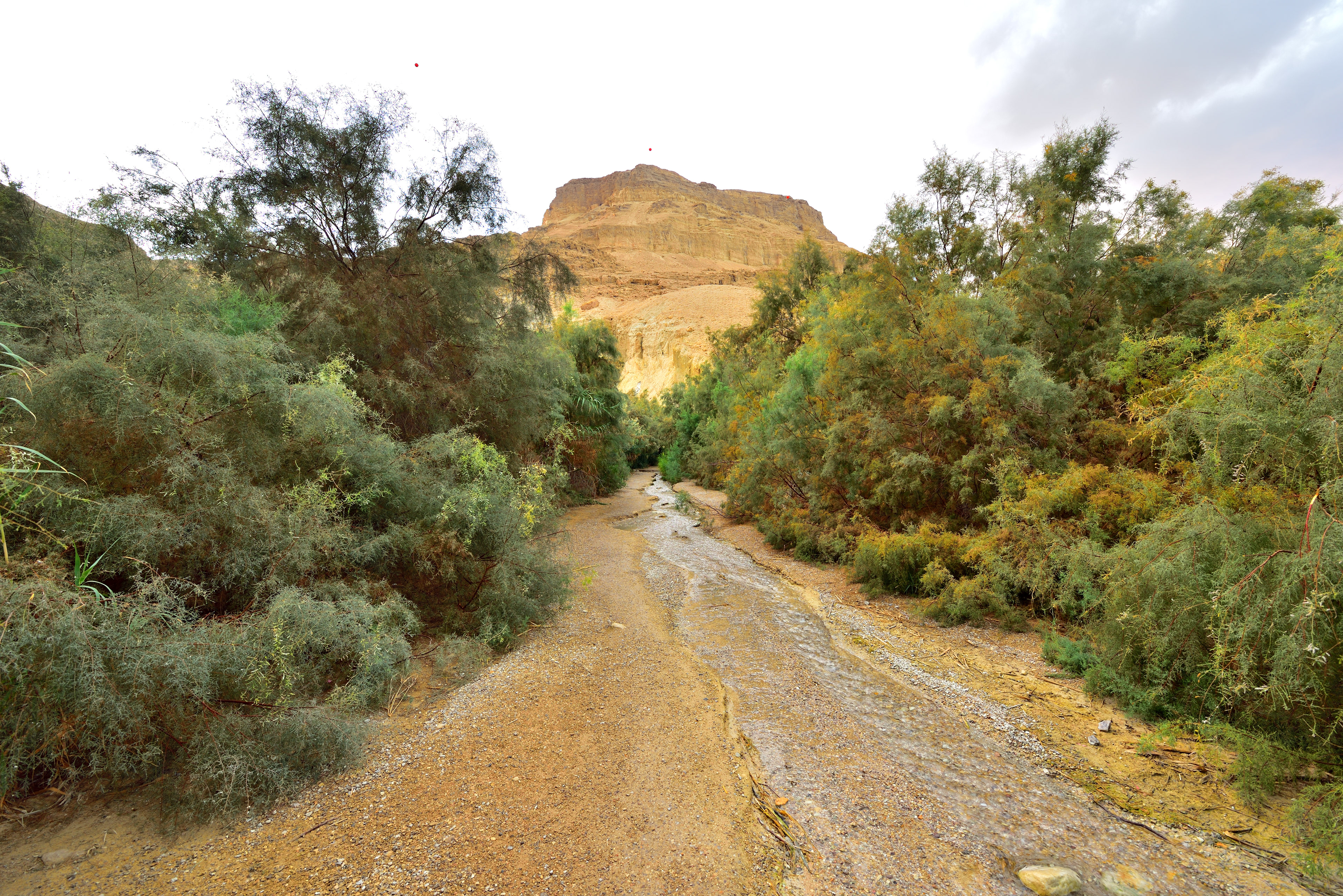 Bokek Spring, 12/2017