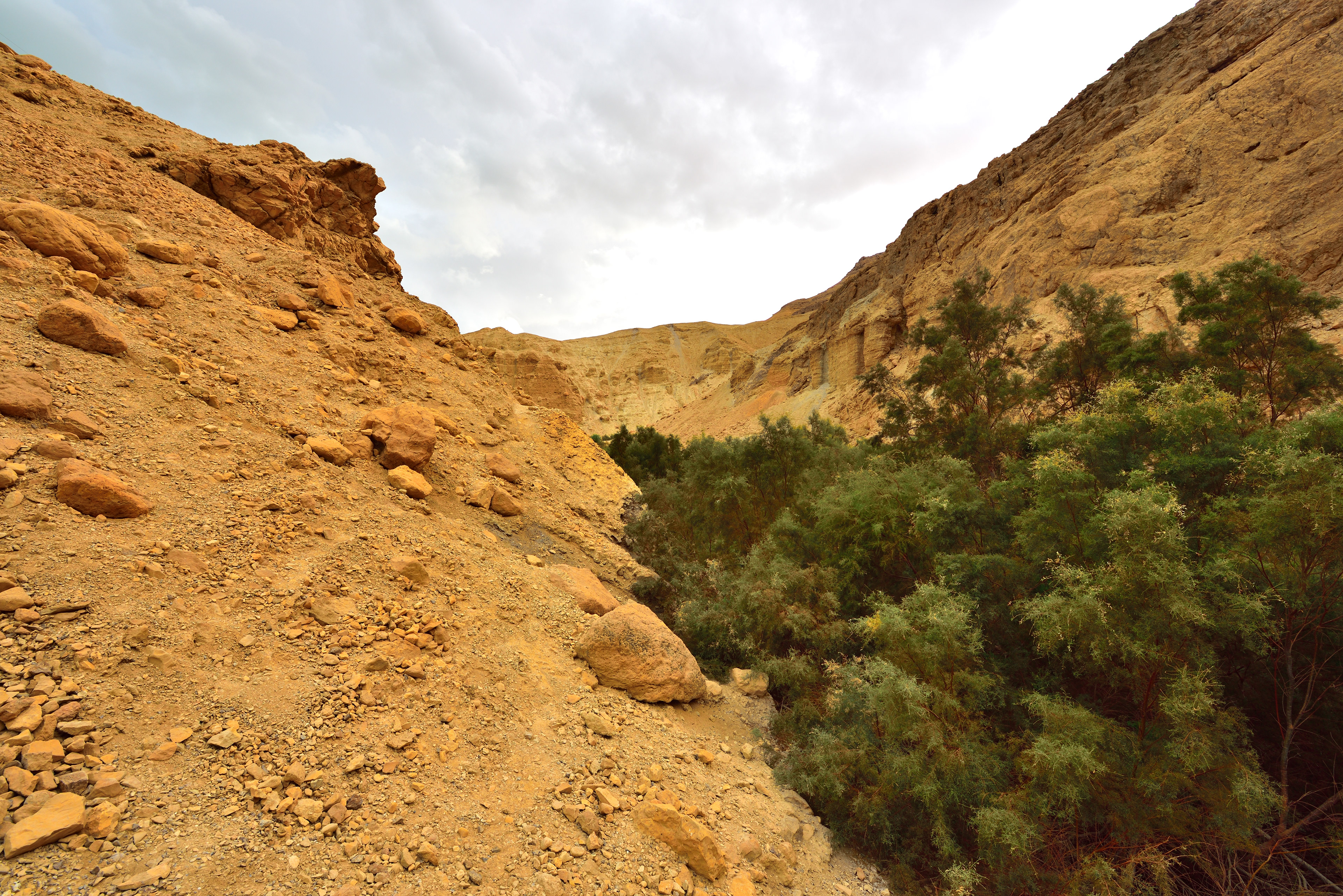 Bokek Spring, 12/2017