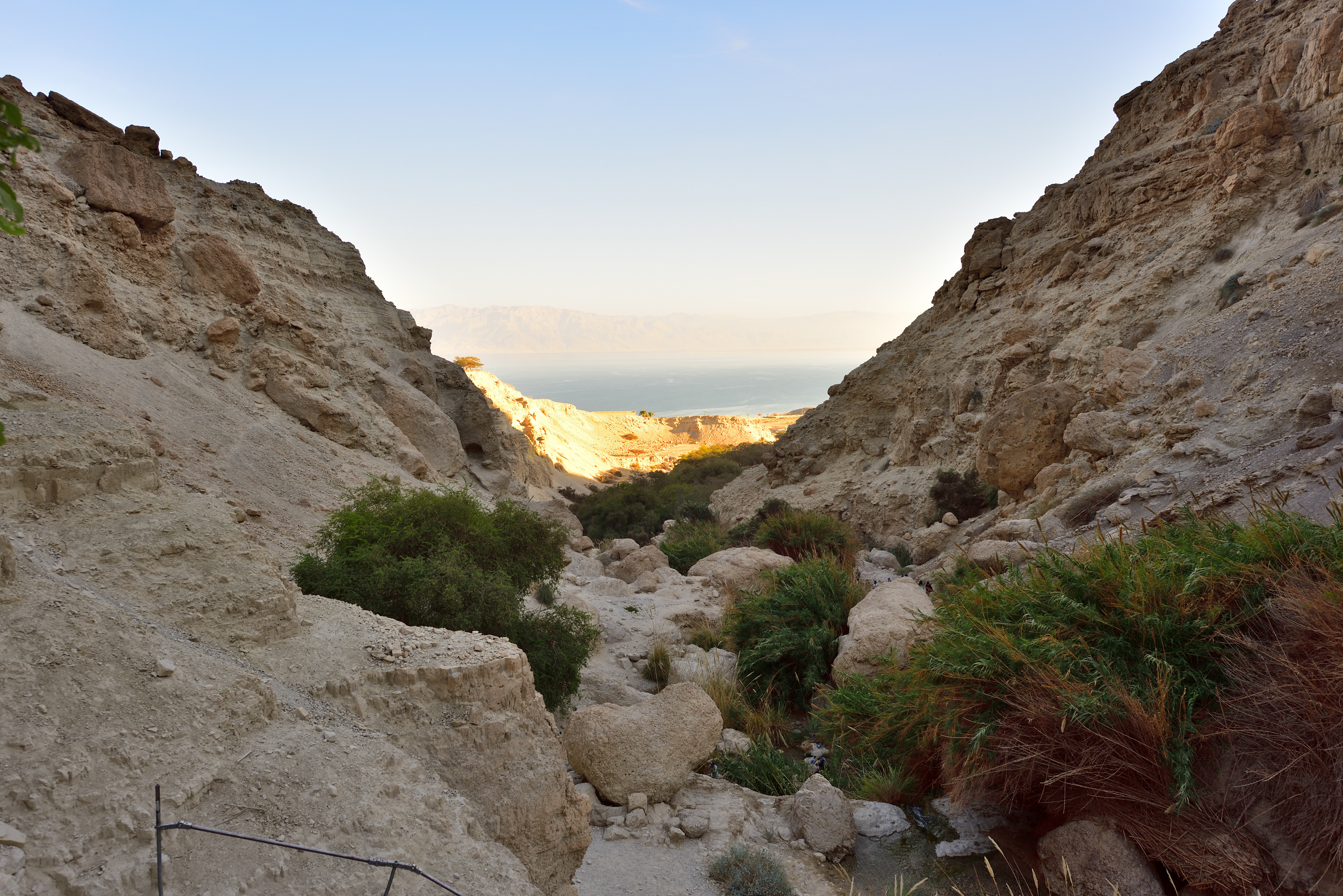 Ein Gedi Reserve, 12/2017