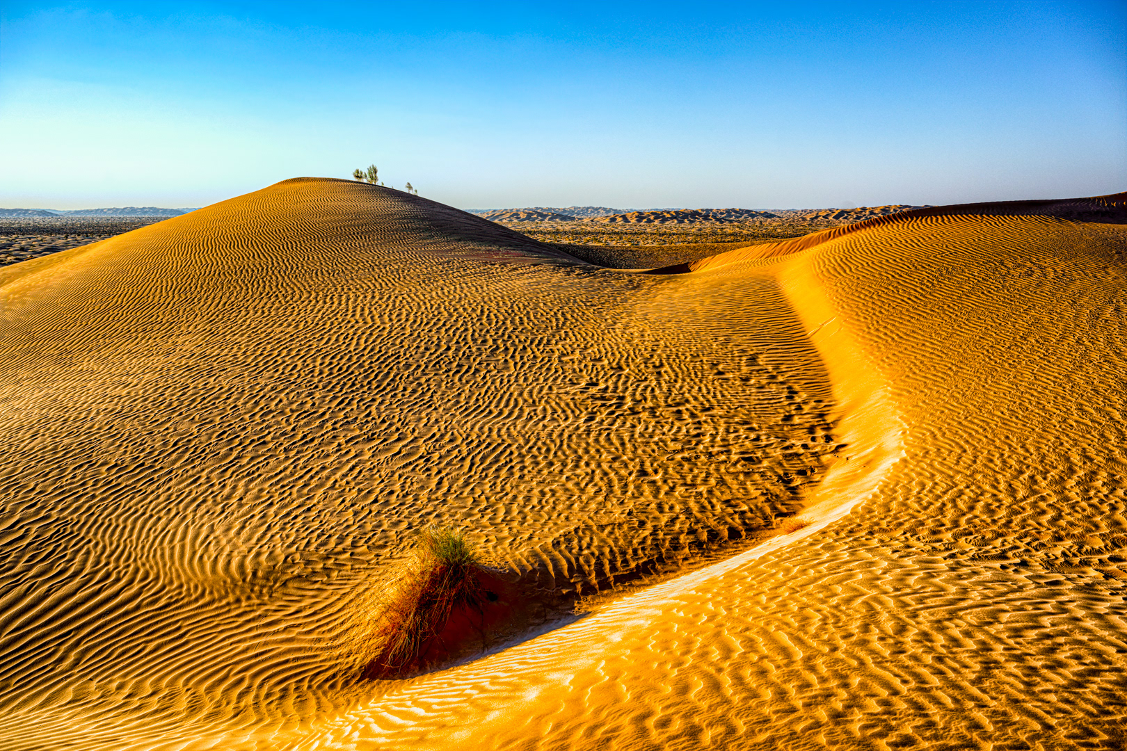 Poušť Rub Al Khali, Omán, 12/2021