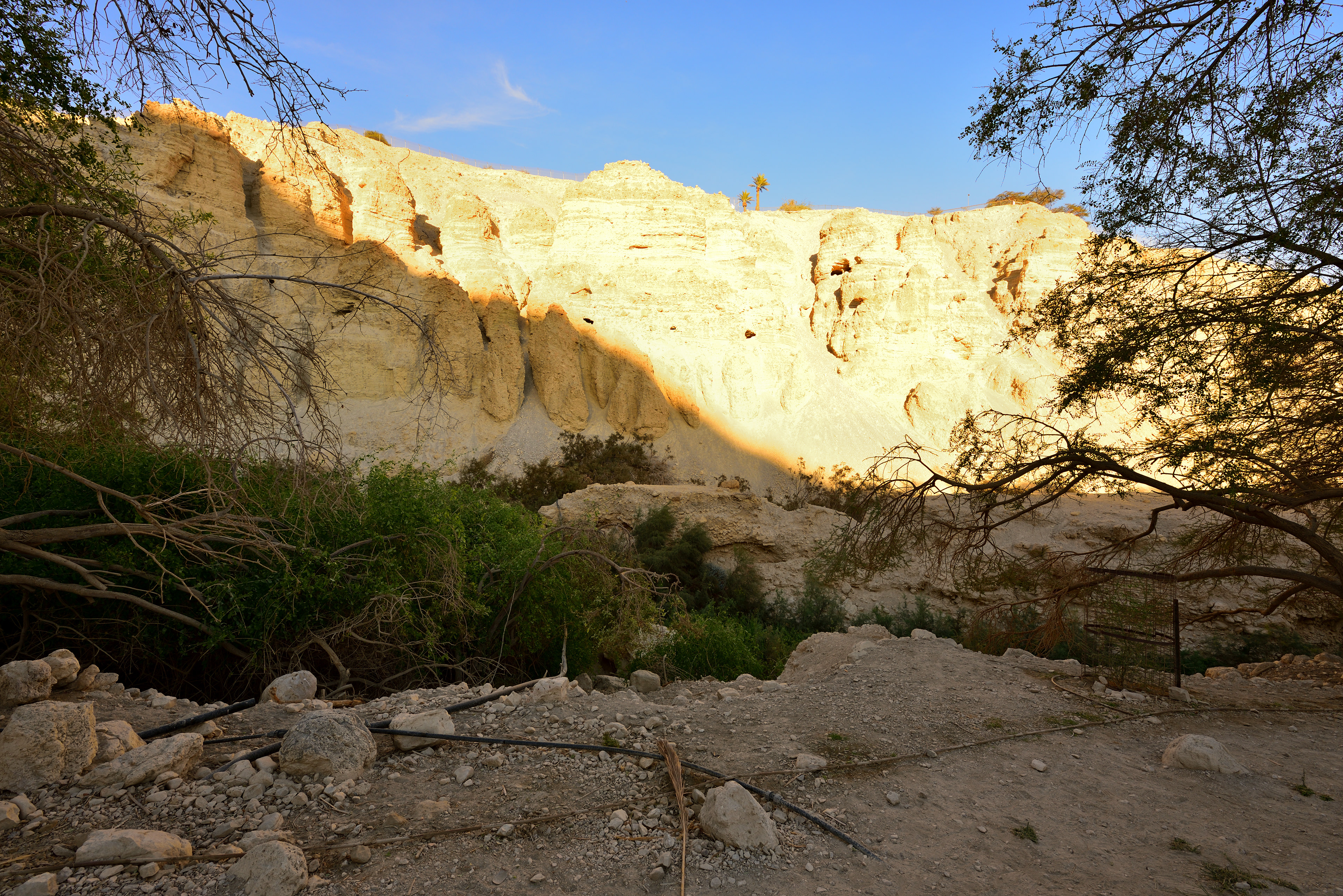 Ein Gedi Reserve, 12/2017