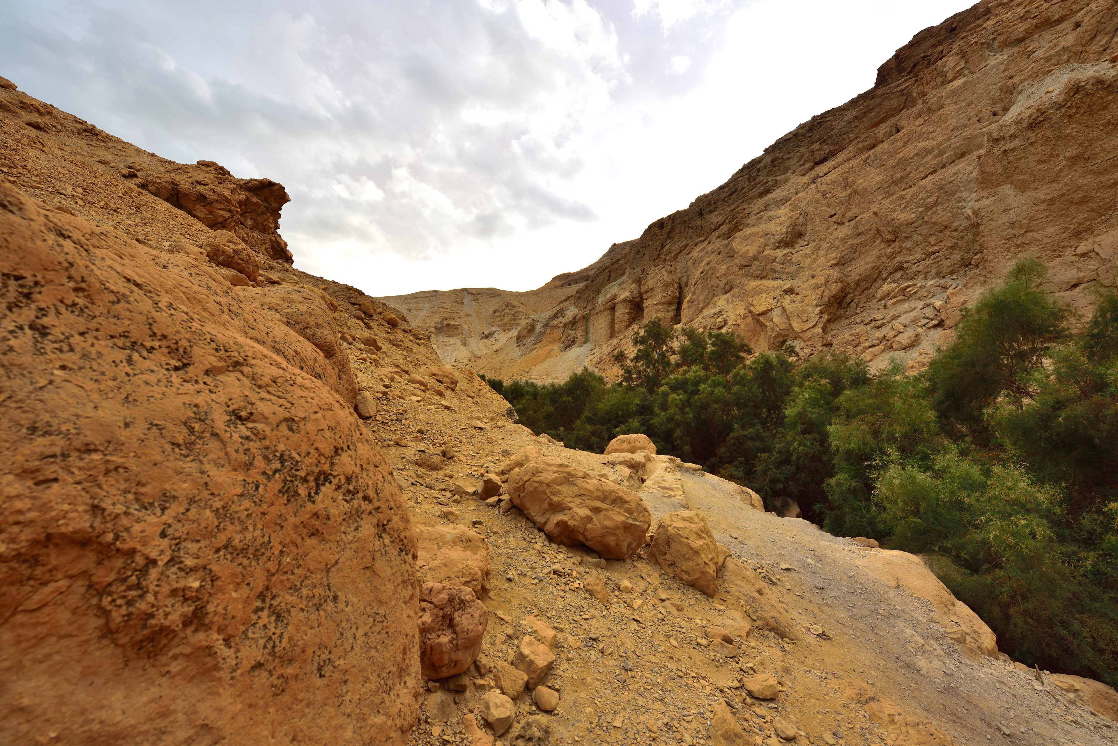 Bokek Spring, 12/2017