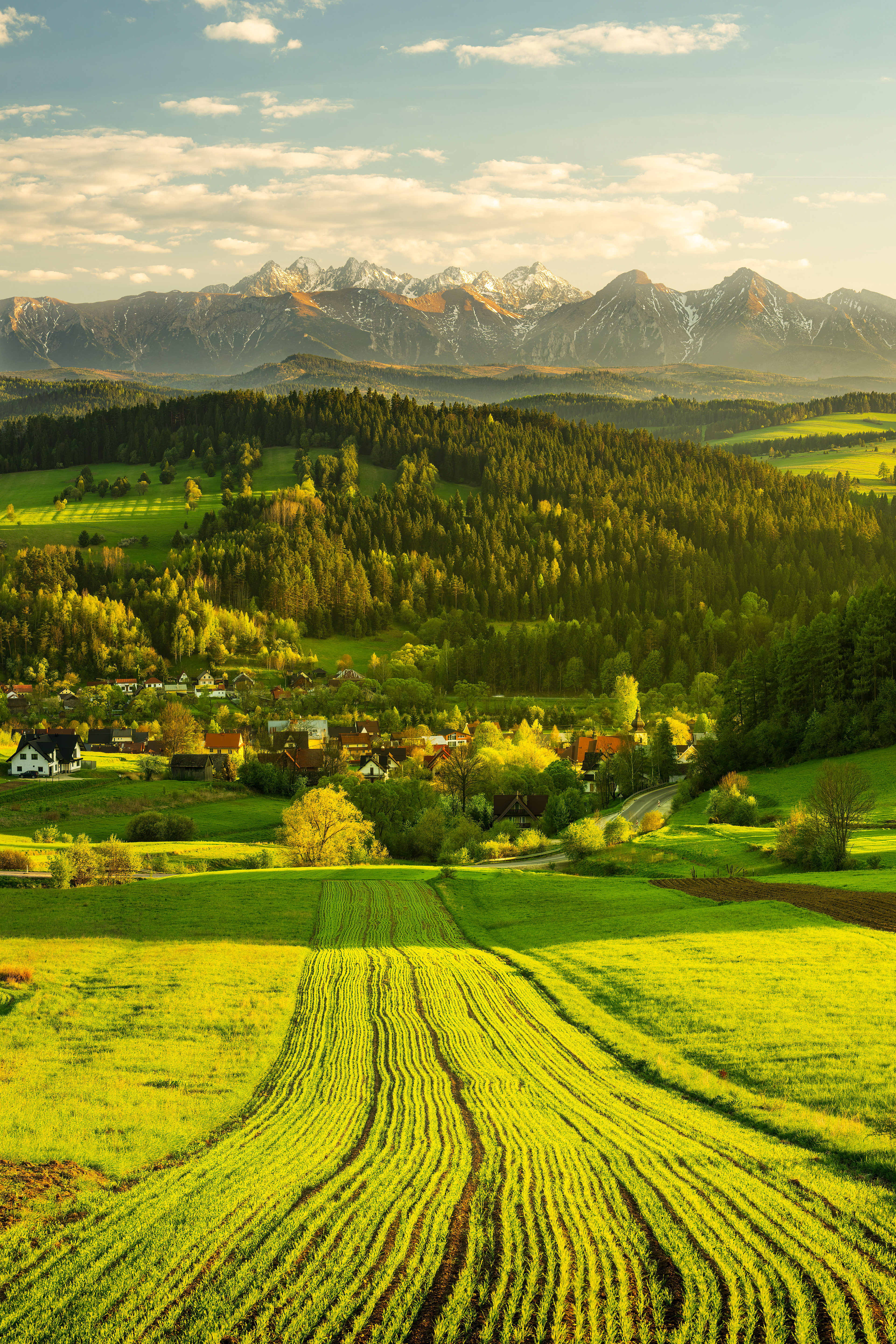 Pohled na Tatry, Pieninský národní park, 04/2025