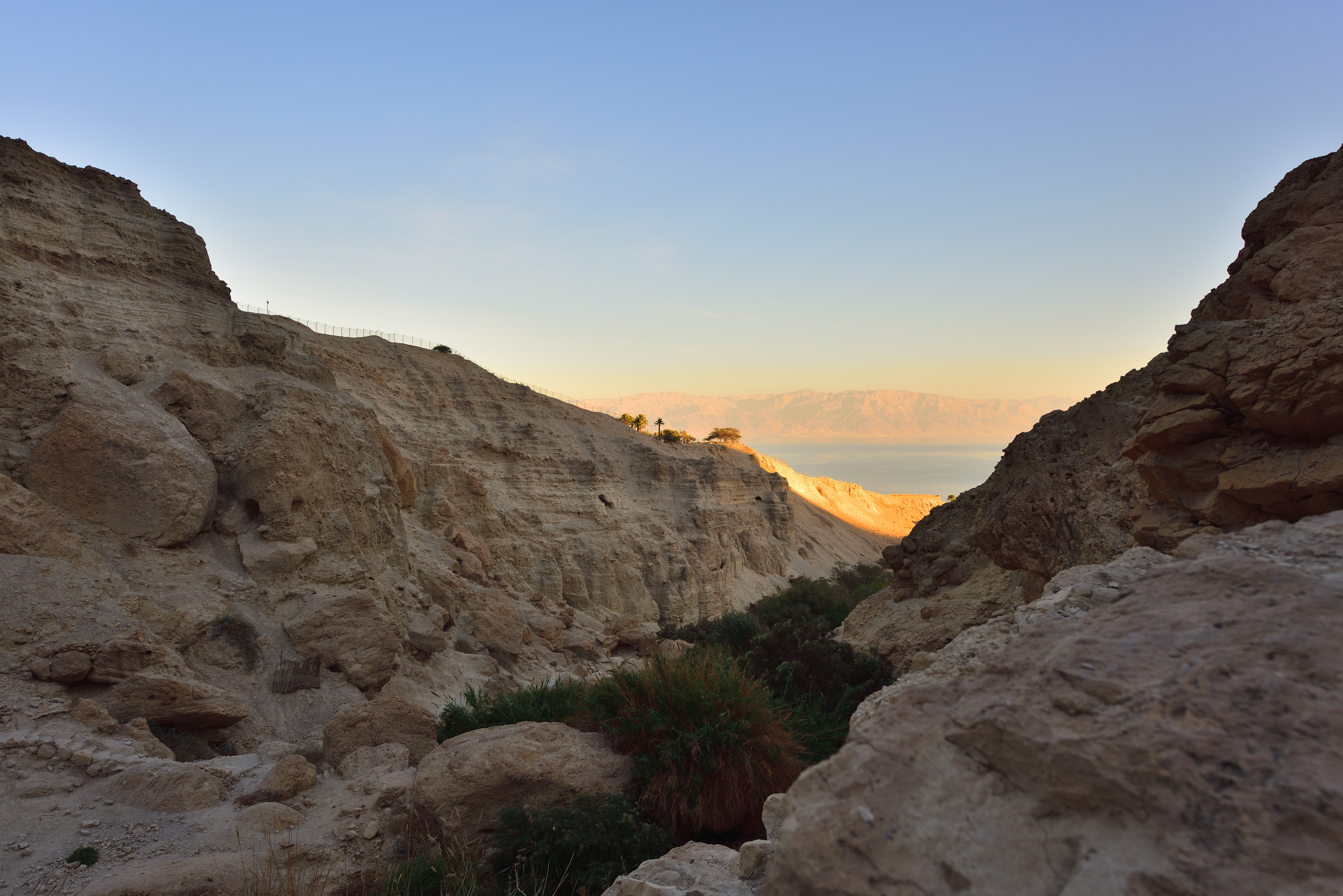 Ein Gedi Reserve, 12/2017
