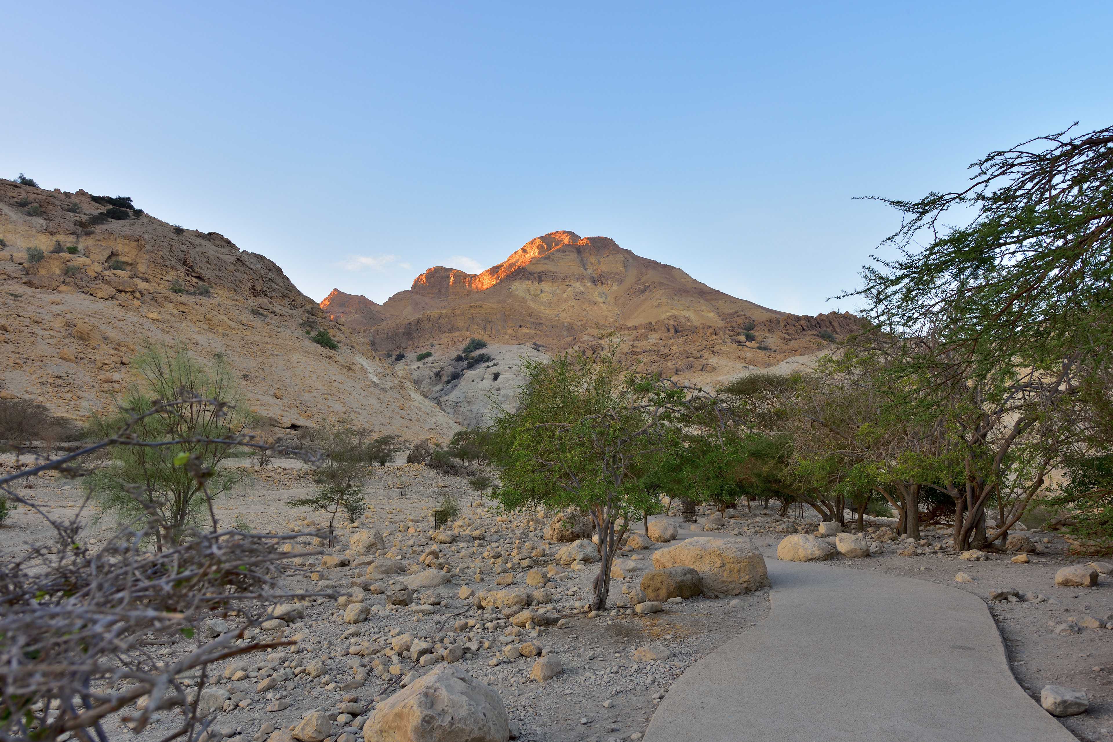 Ein Gedi Reserve, 12/2017