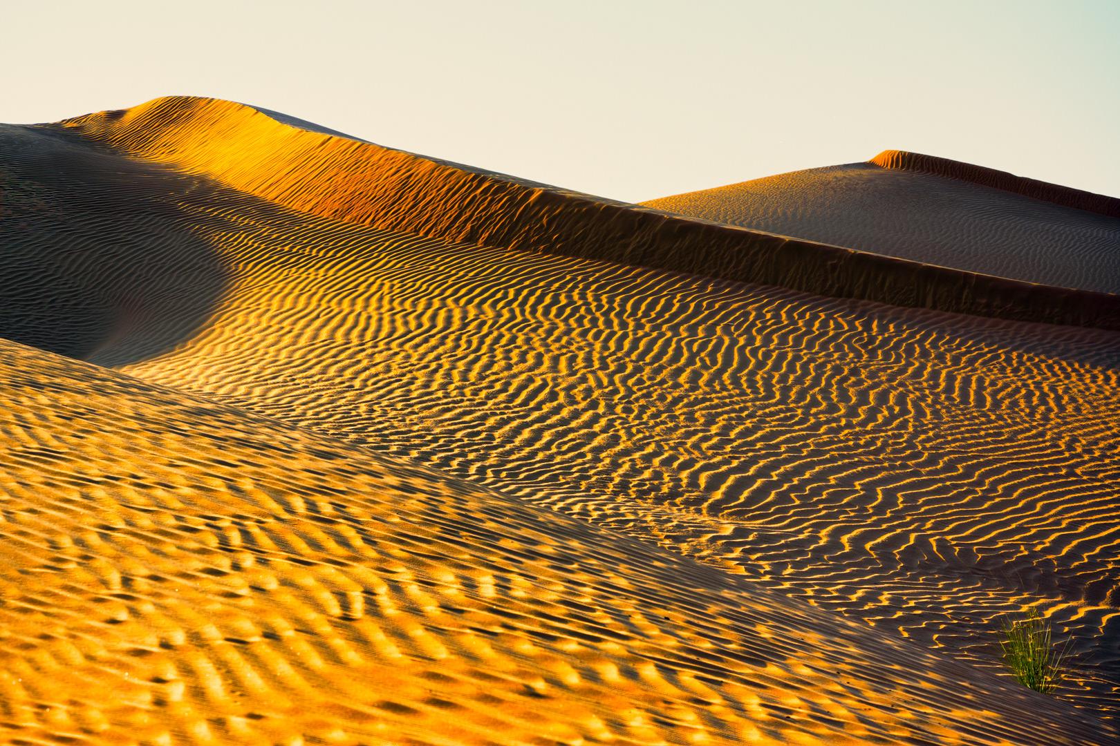 Poušť Rub Al Khali, Omán, 12/2021