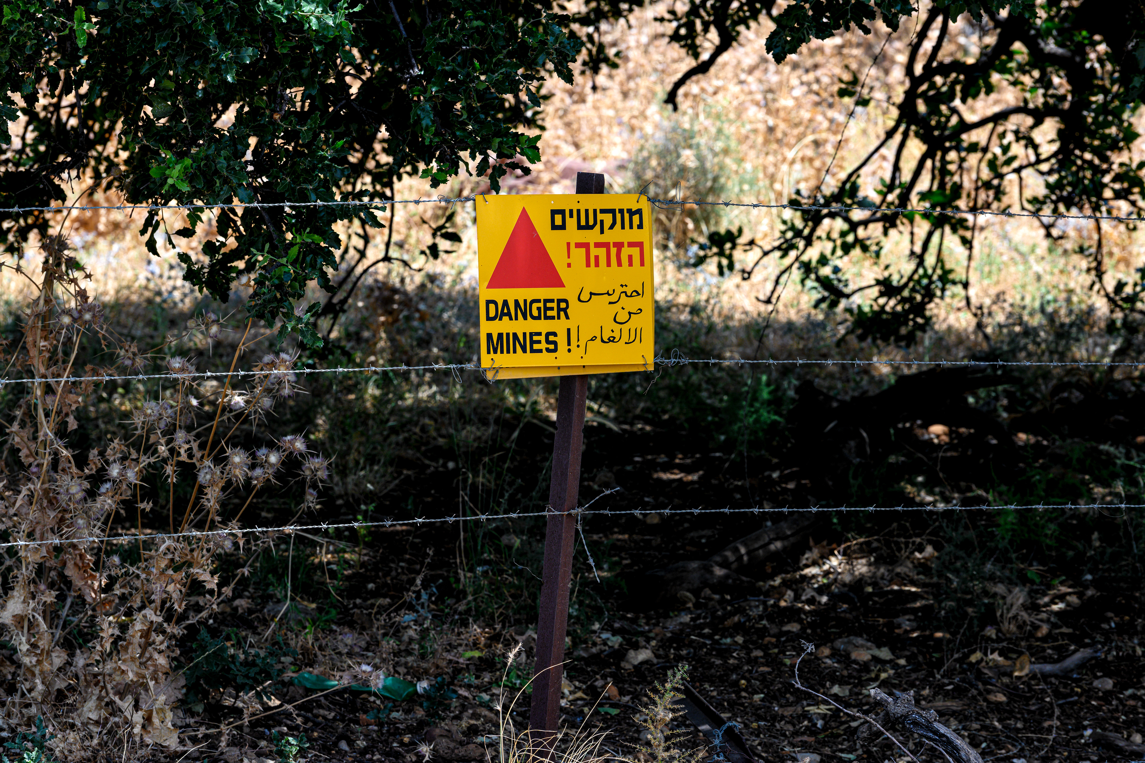Minové pole, Golanské výšiny, 06/2019