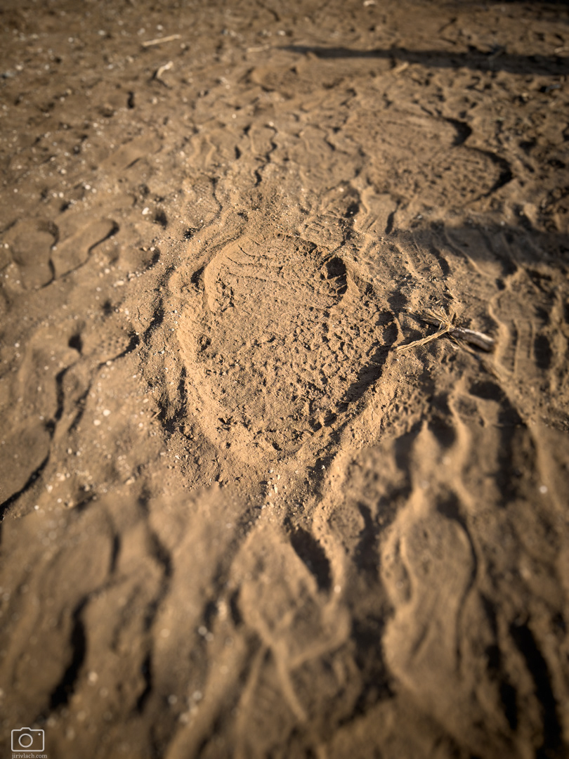 Stopa slona (Loxodonta africana), Keňa - NP Tsavo West, 12/2025