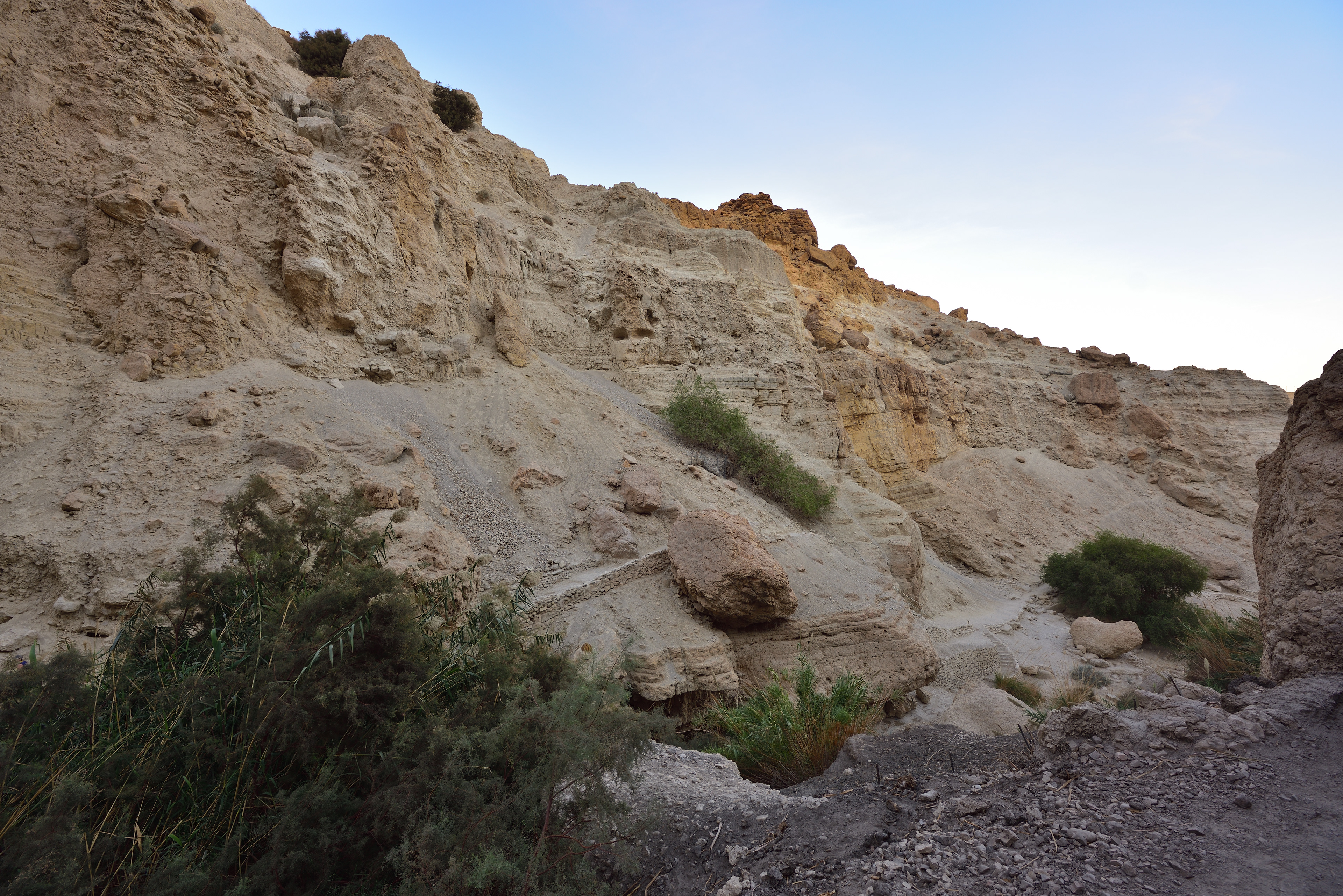 Ein Gedi Reserve, 12/2017