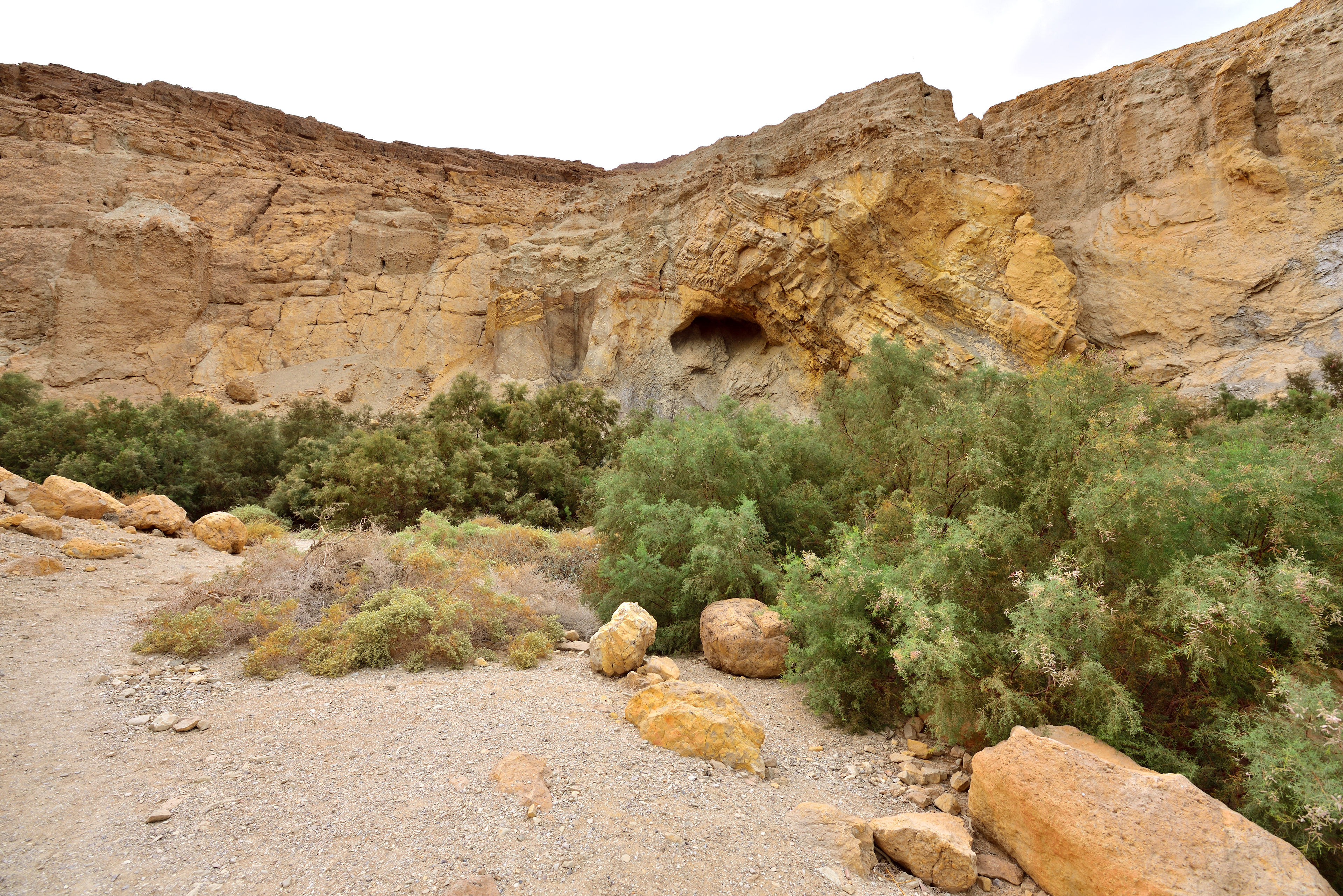 Bokek Spring, 12/2017