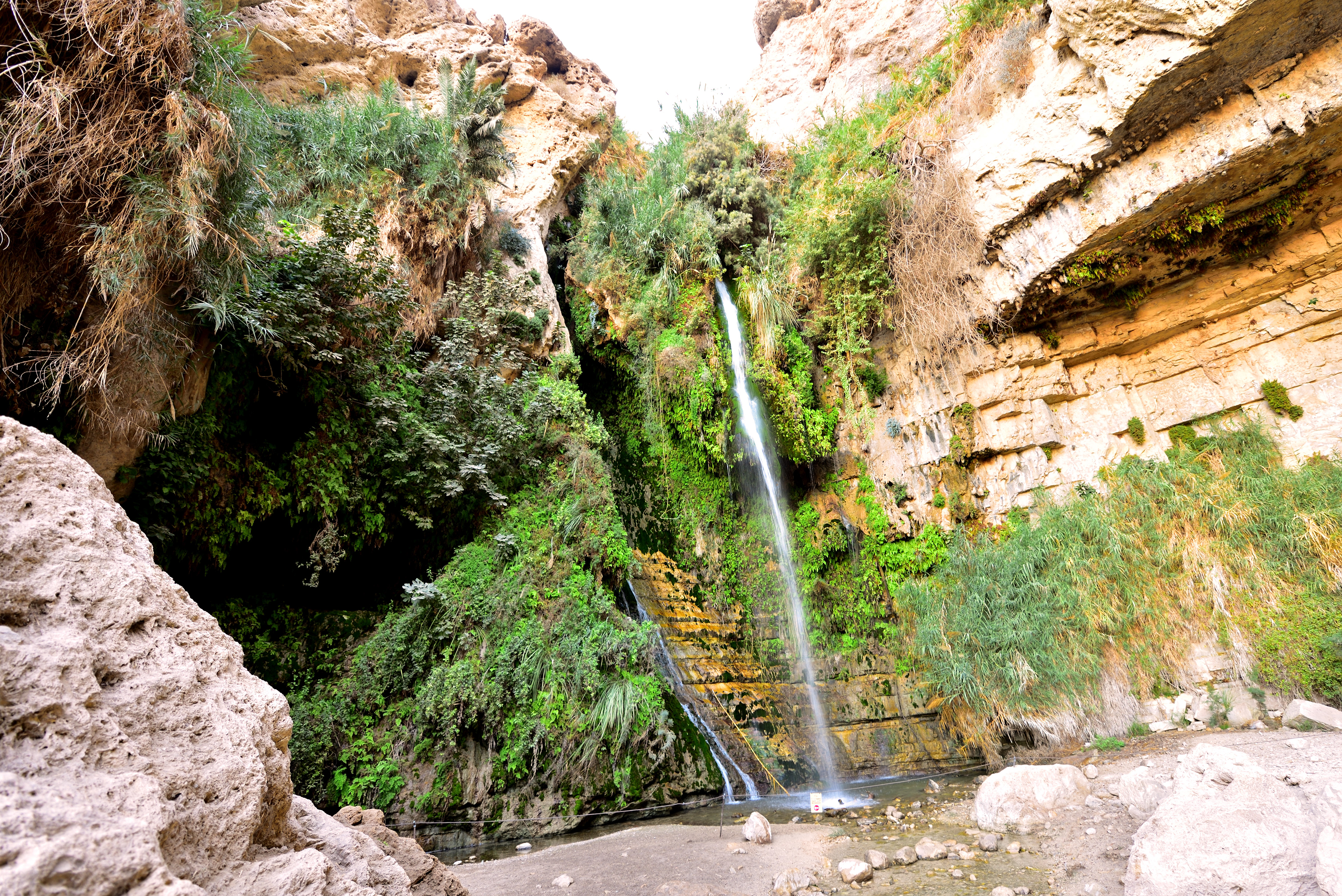 Ein Gedi Reserve, 12/2017