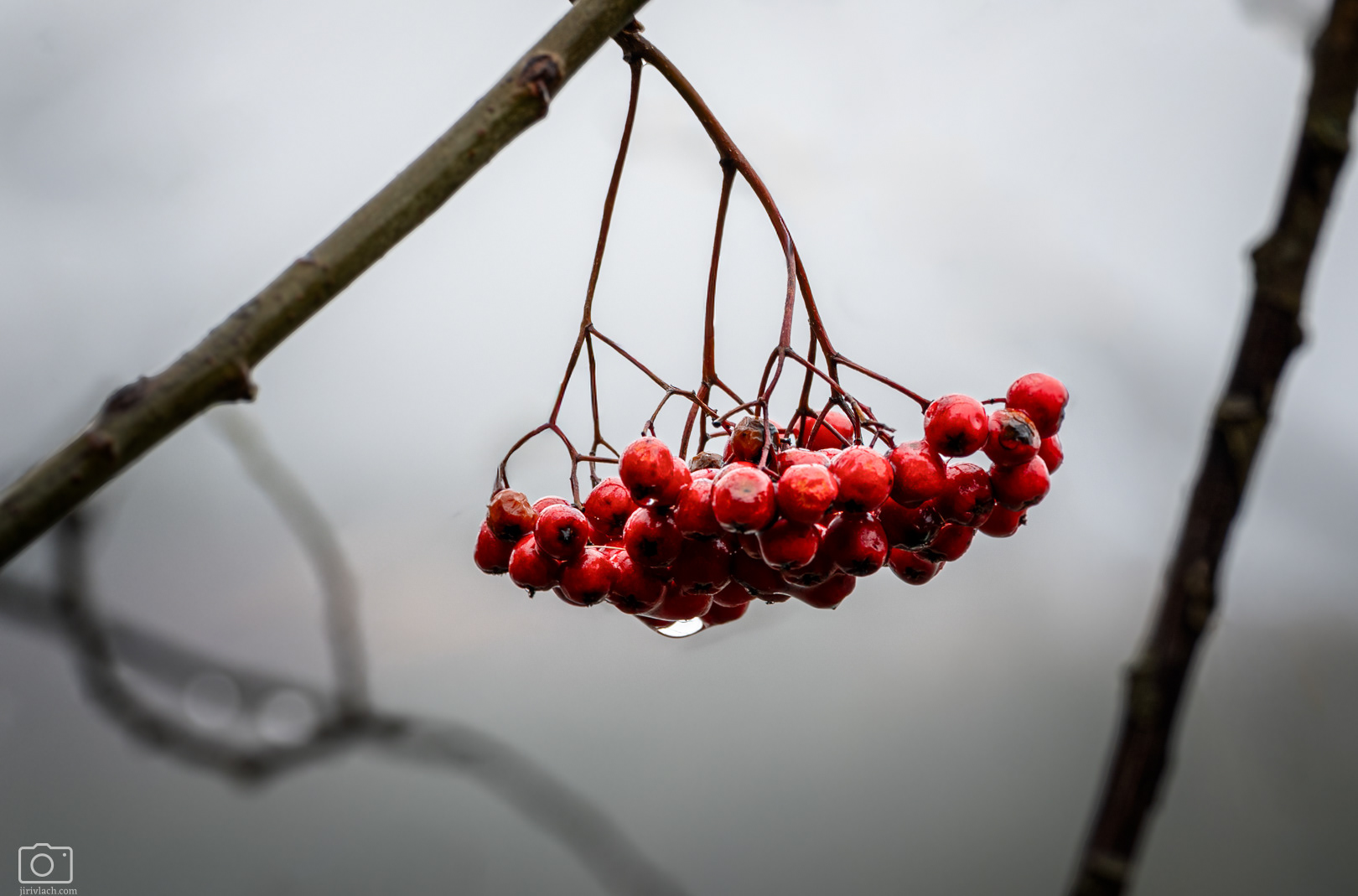 Štrbské pleso, Vysoké Tatry, 11/2025