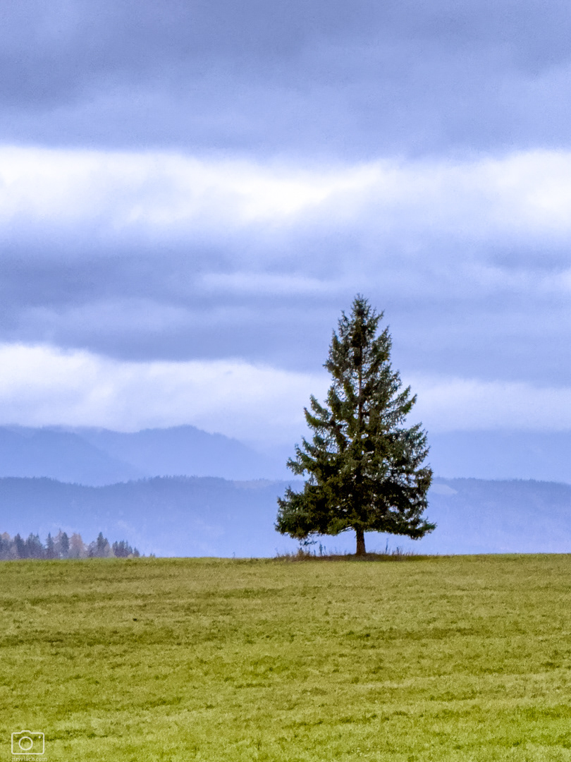Pod Kriváněm, Vysoké Tatry, 11/2025