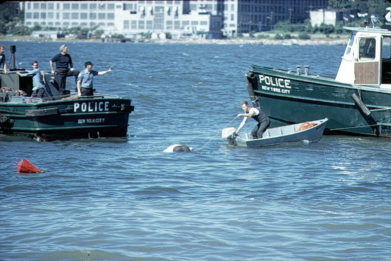 Retrieving a floater