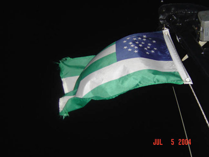 NYPD Flag