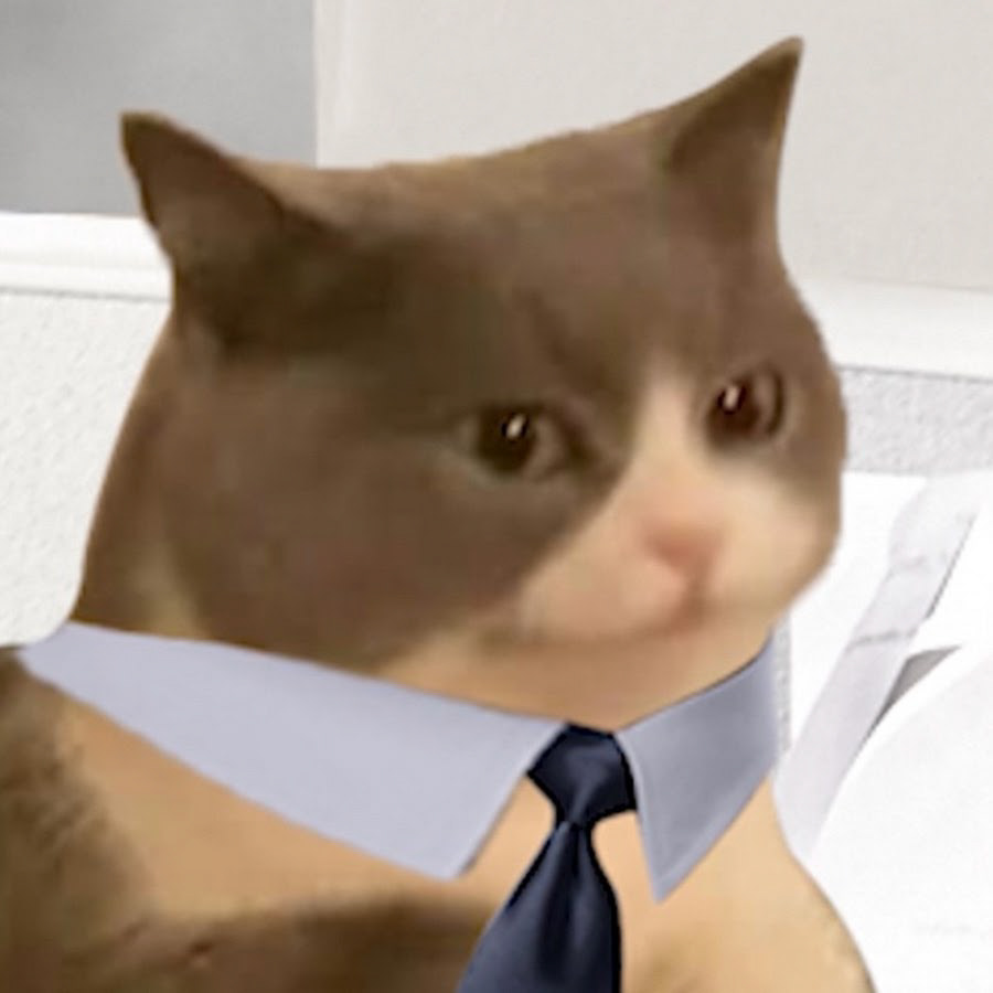 Kia Kitty Cat