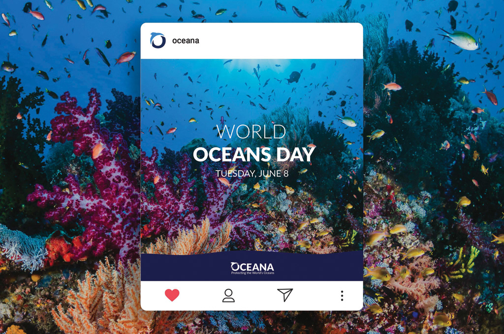 Oceana Social Media Campaign
