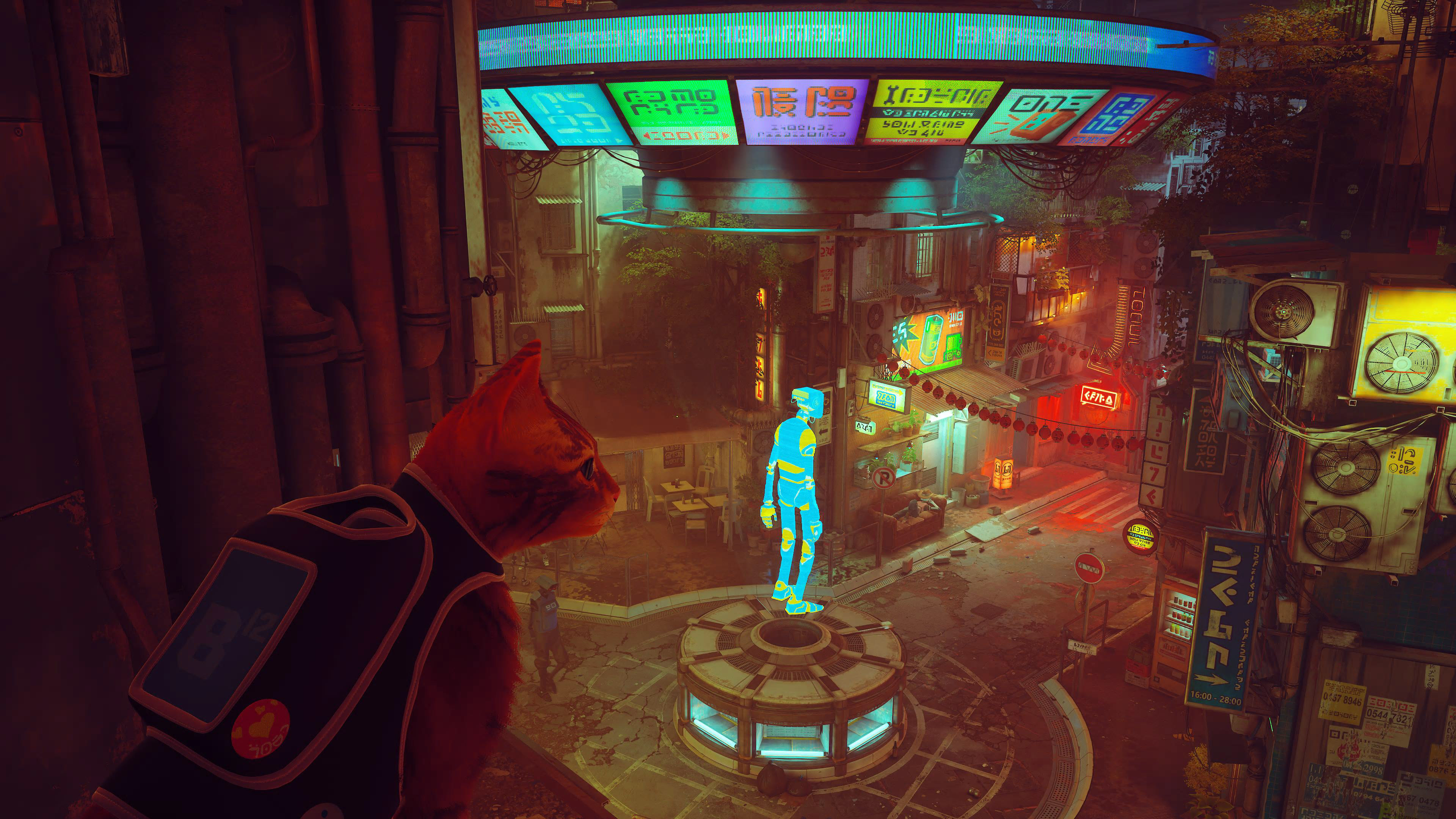 Stray