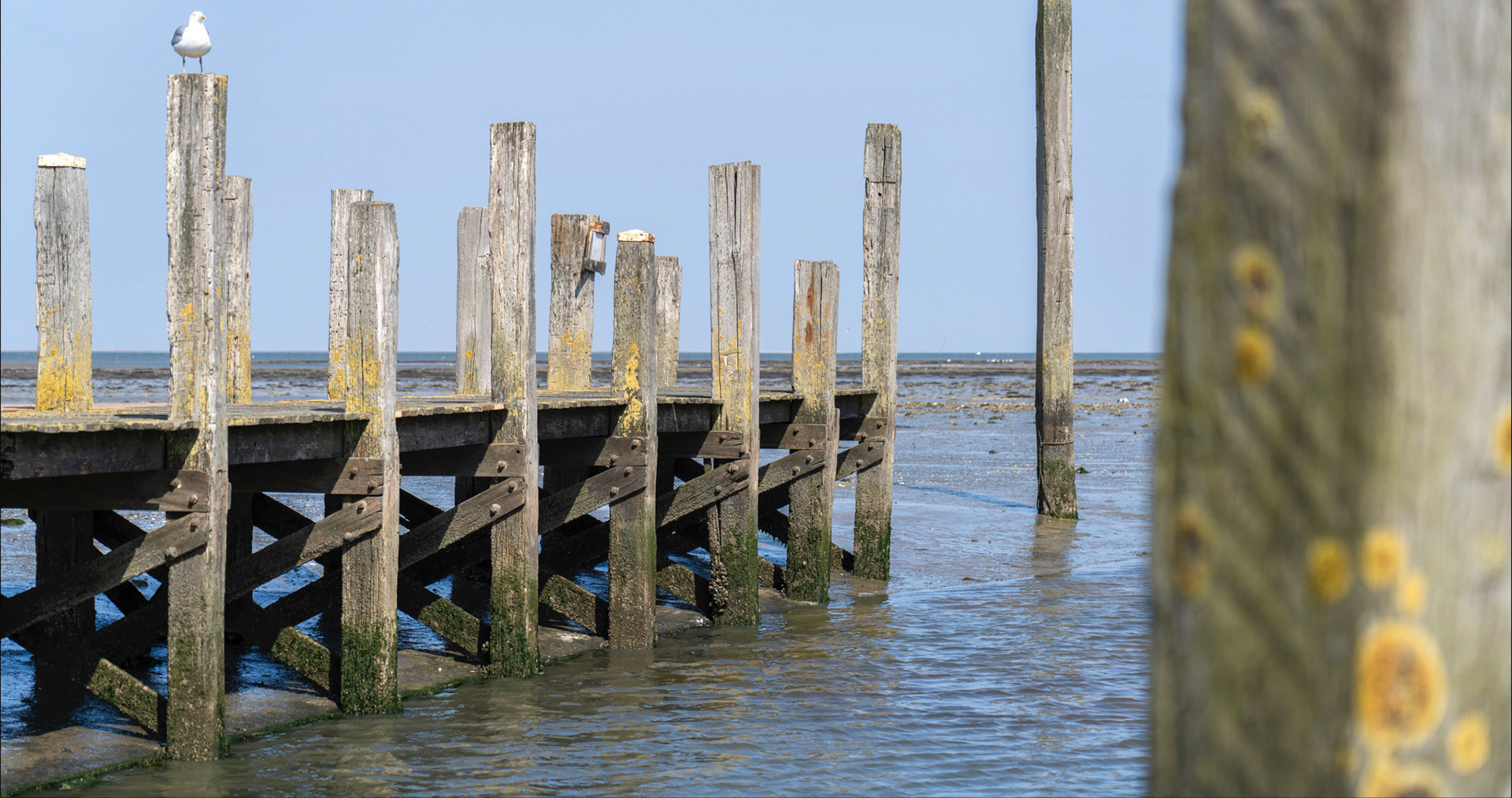 The harbour of Sil | Texel