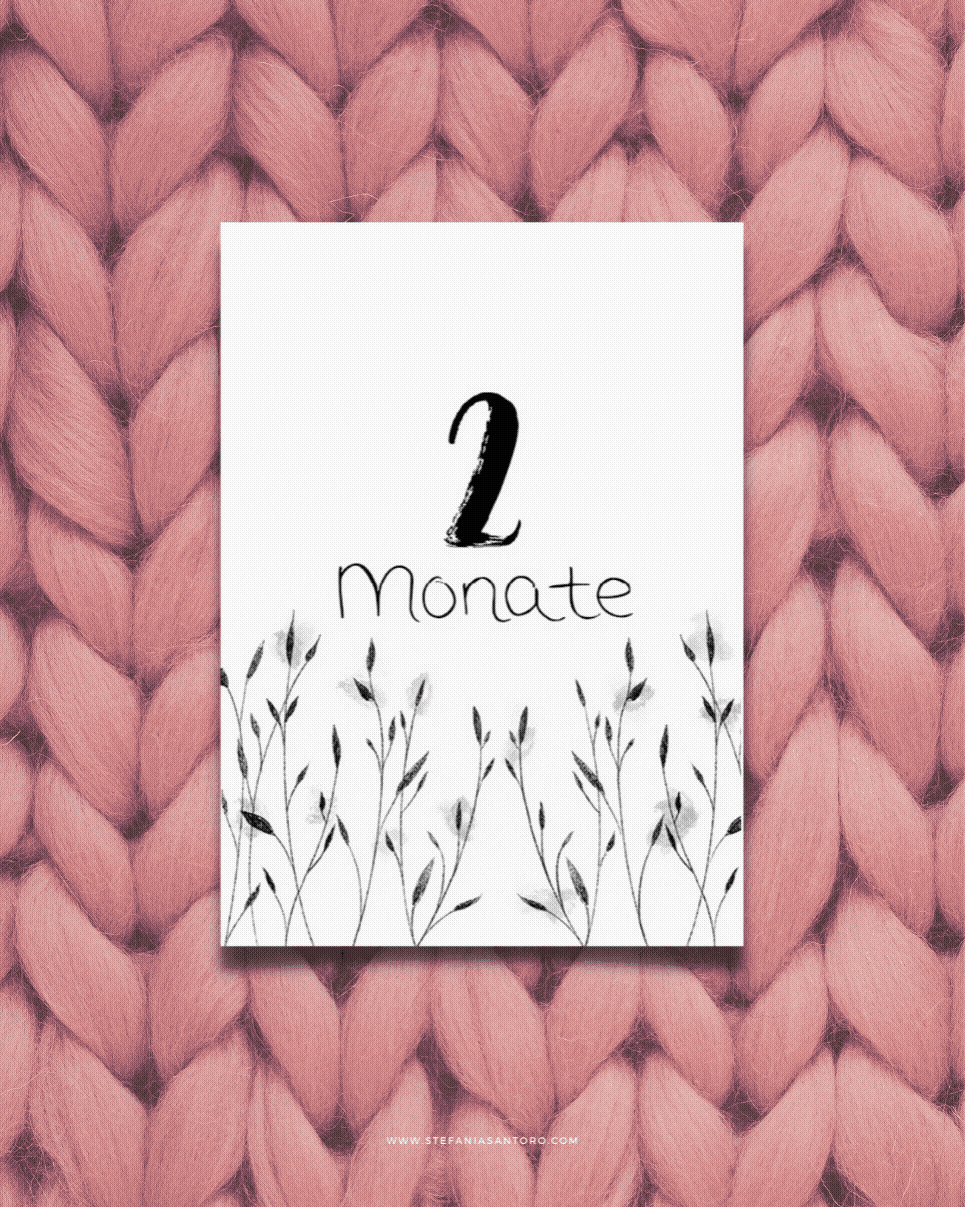 Gif mit verschiedenene Meilensteinkarten mit Zeichnungen von kleinen Blumen und Pflanzen in schwarz-weiß mit grauen Aquarell-Kleckse