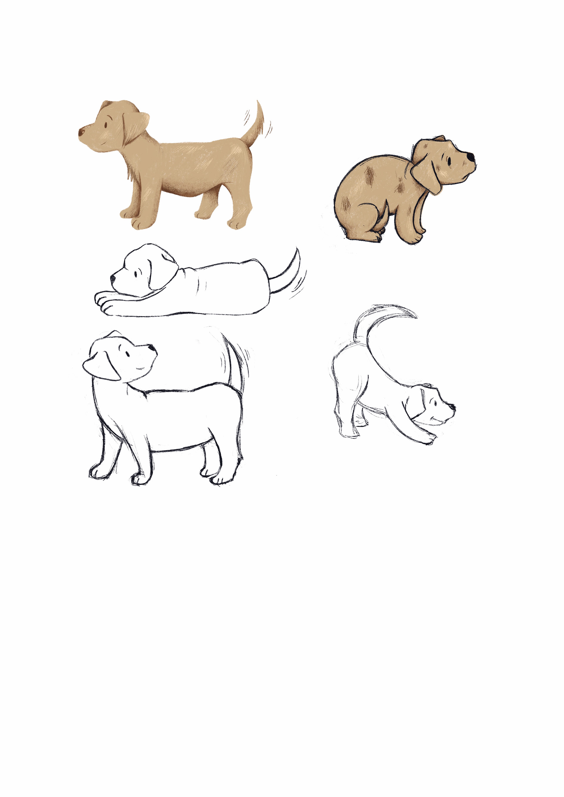 Illustration von Stefania Santoro von einen kleinen beigen Hund. Zeigt verschiedene Emotionen vom Hund. Freude, Trauer, Neugier und Angst. 